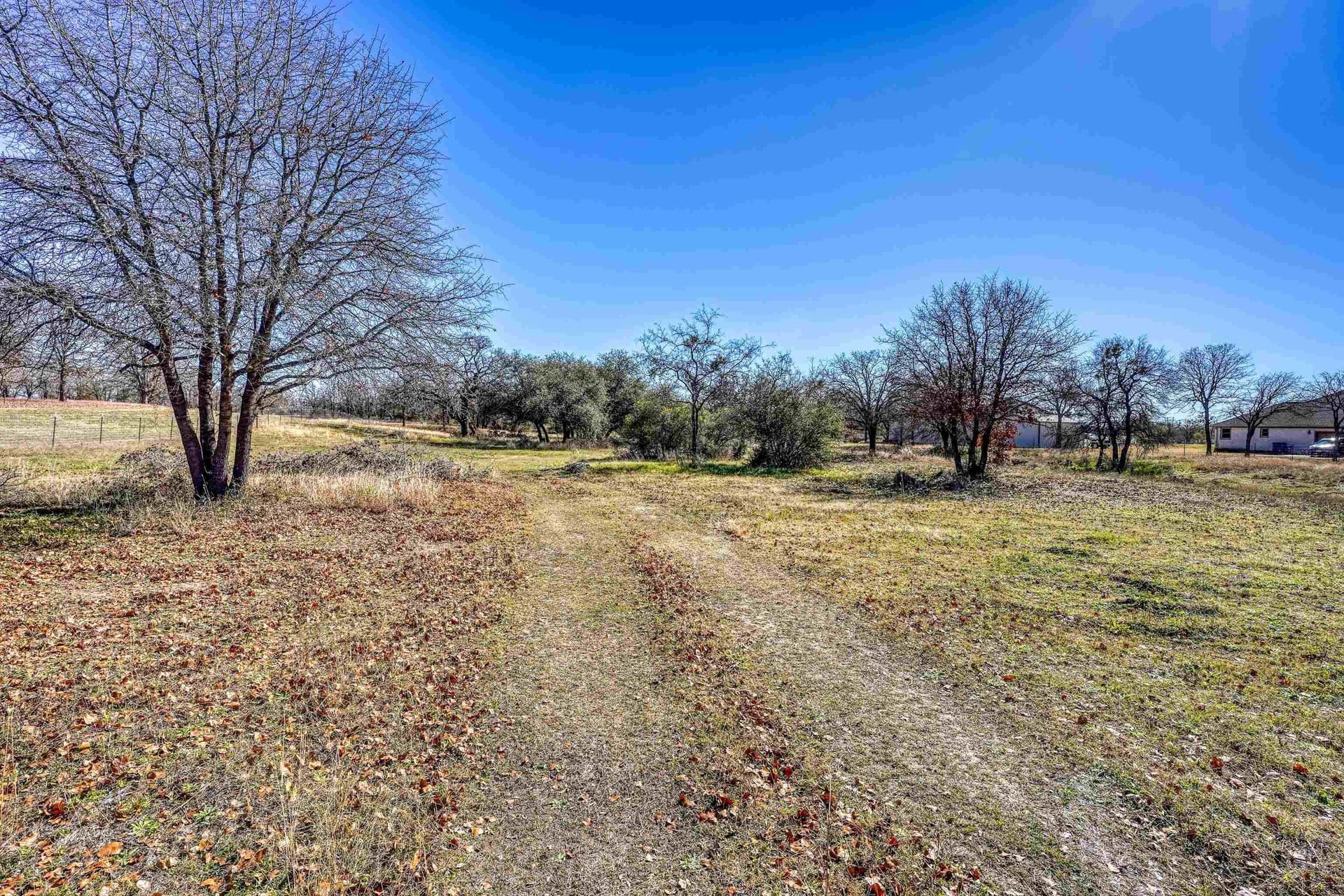 11.05 acres in Burnet County gallery image 3