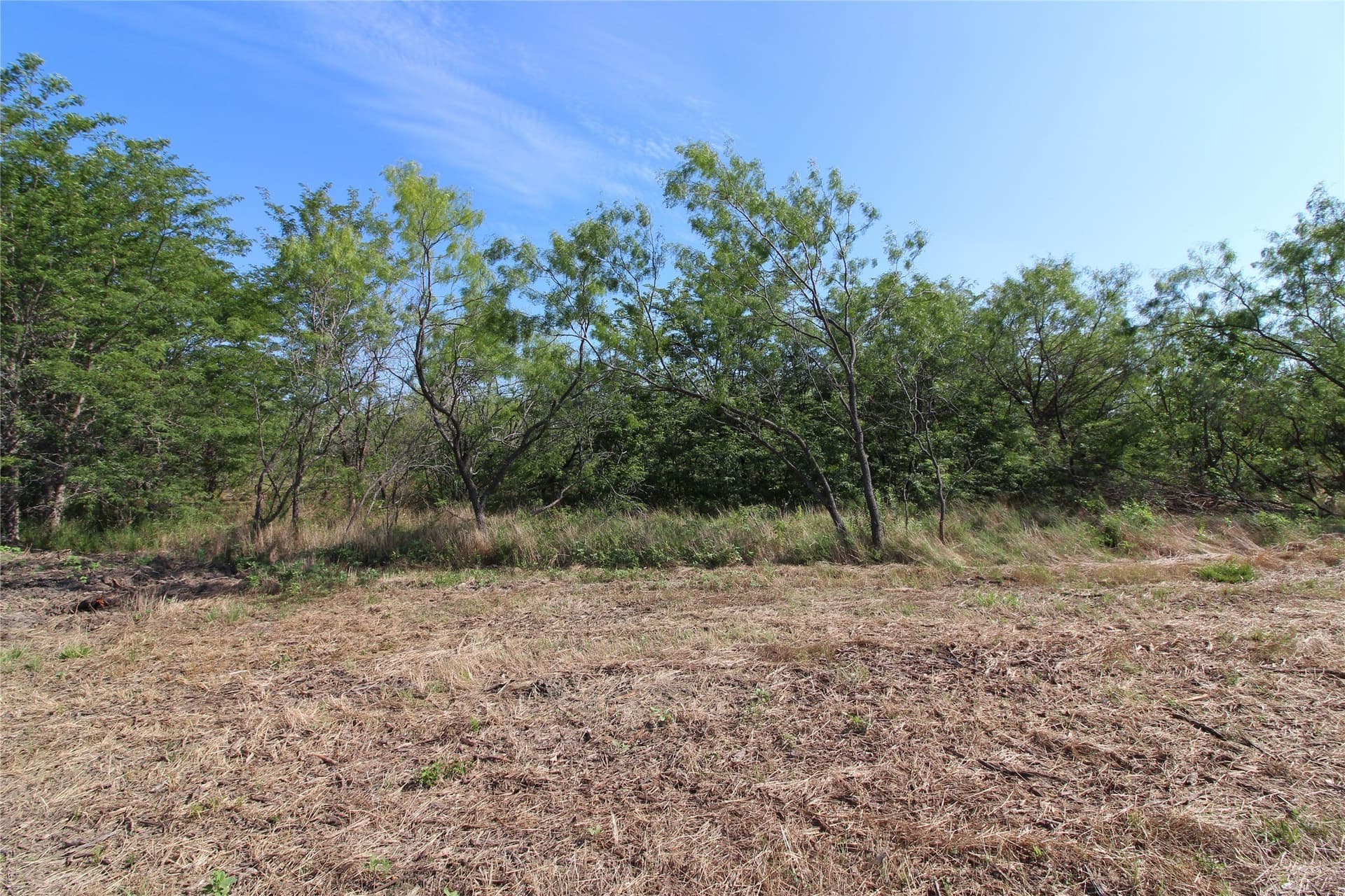 1.51 acres in Kaufman County gallery image 3