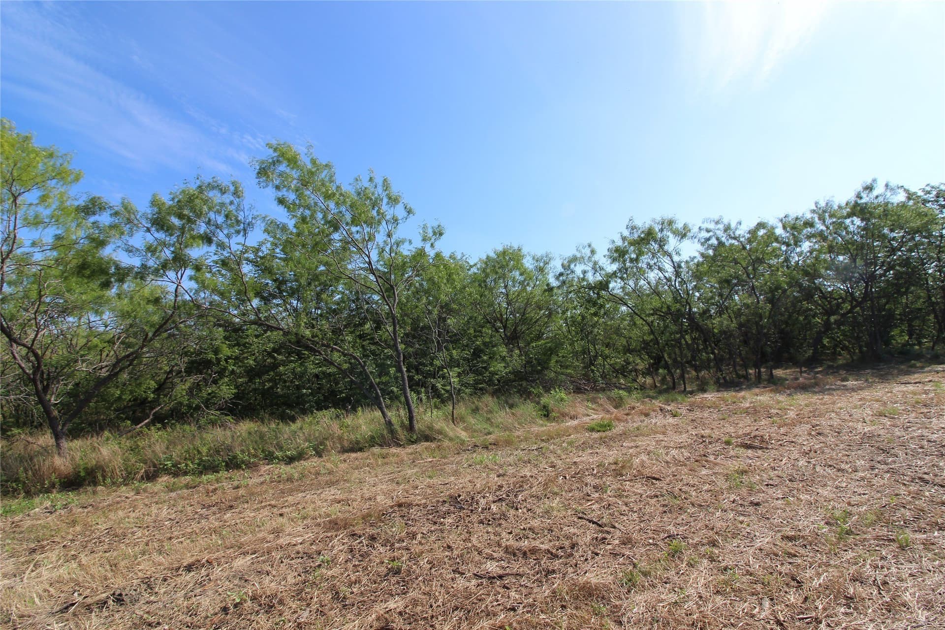 1.51 acres in Kaufman County gallery image 4