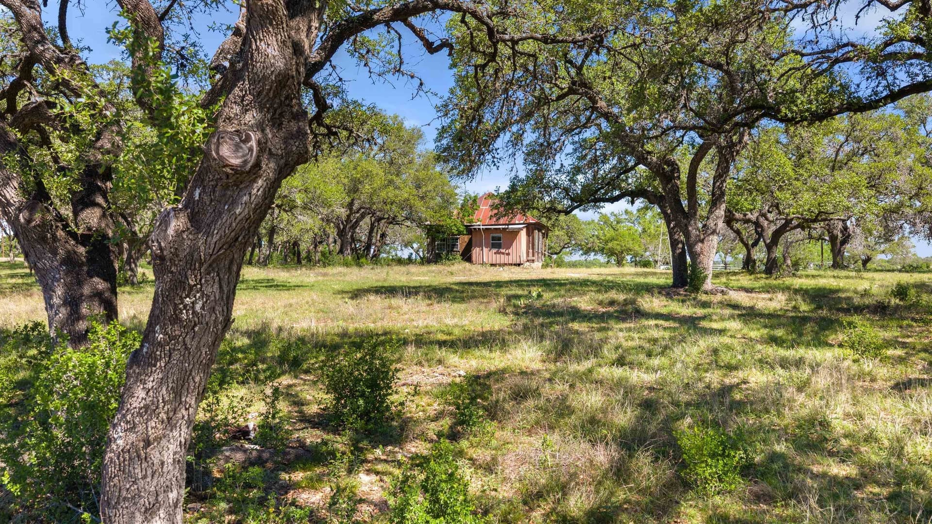 69 acres in Blanco County - photo 14