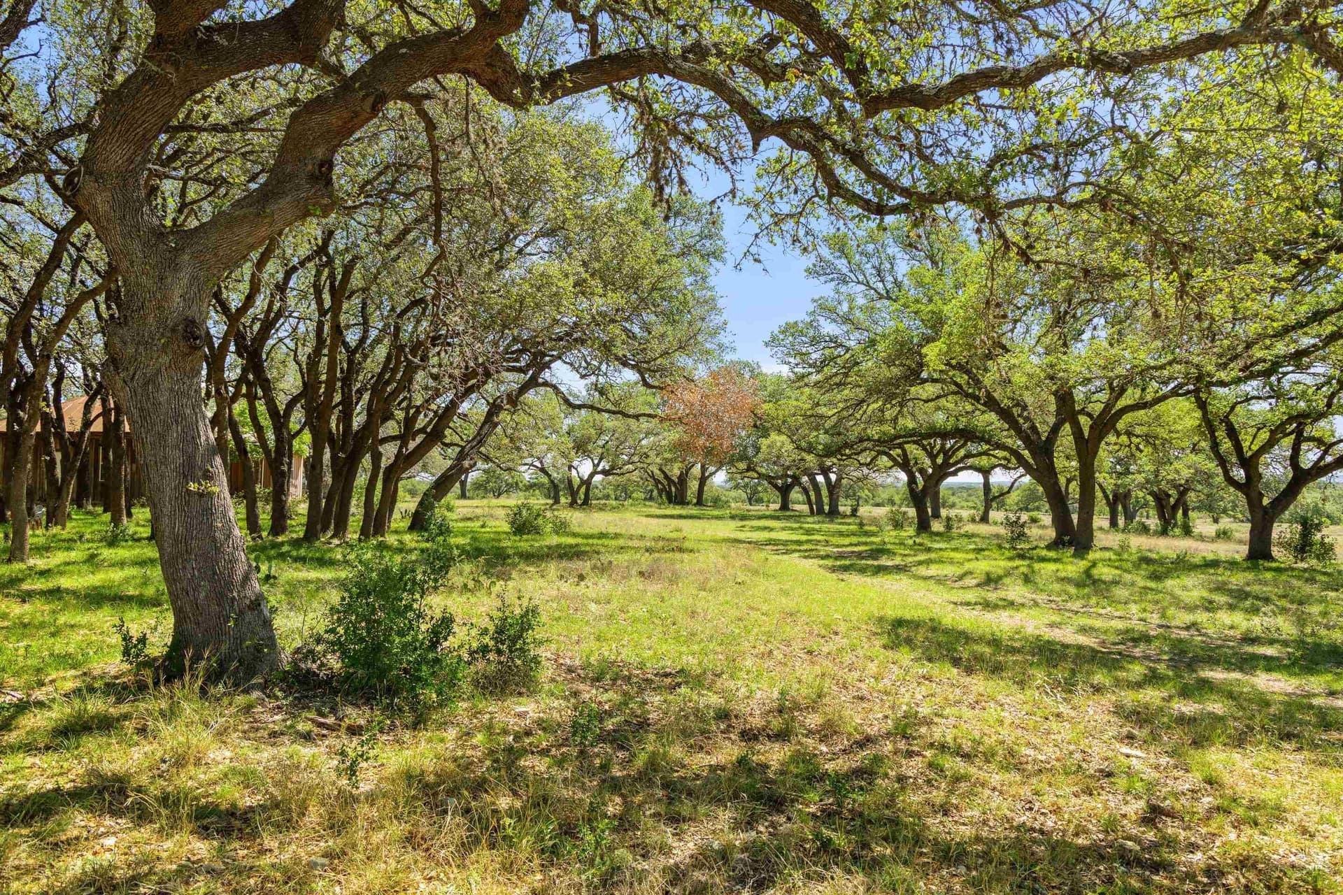 69 acres in Blanco County - photo 7