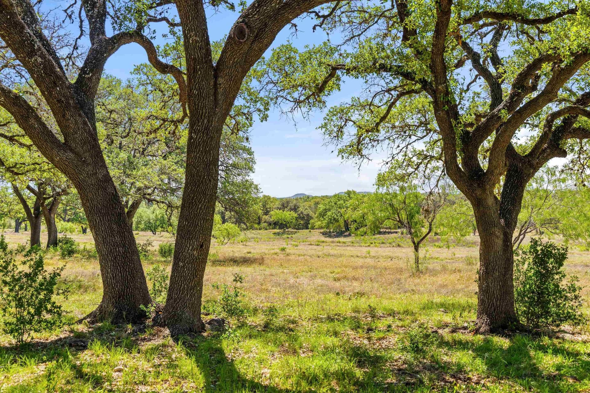 69 acres in Blanco County - photo 8