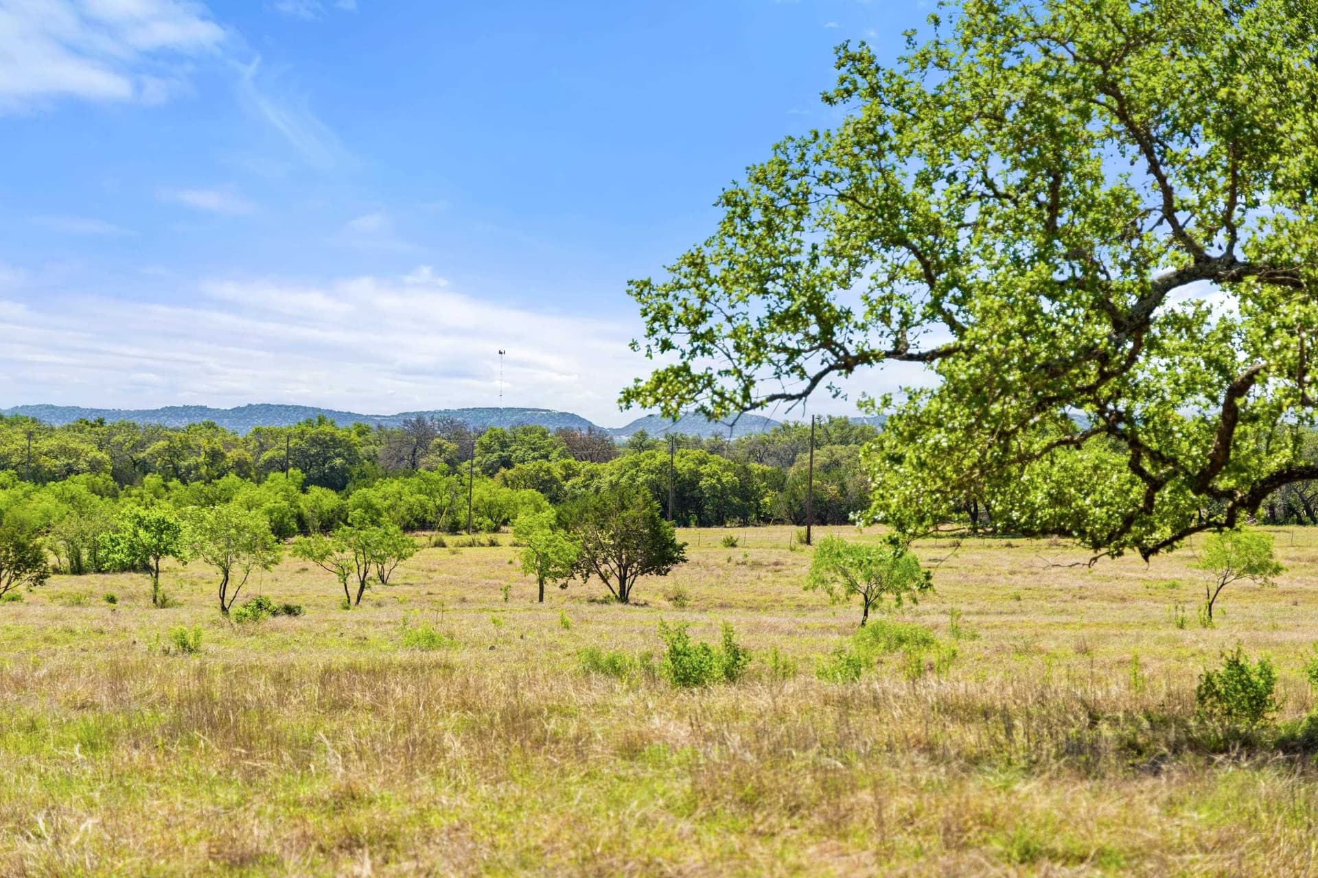 69 acres in Blanco County gallery image 3