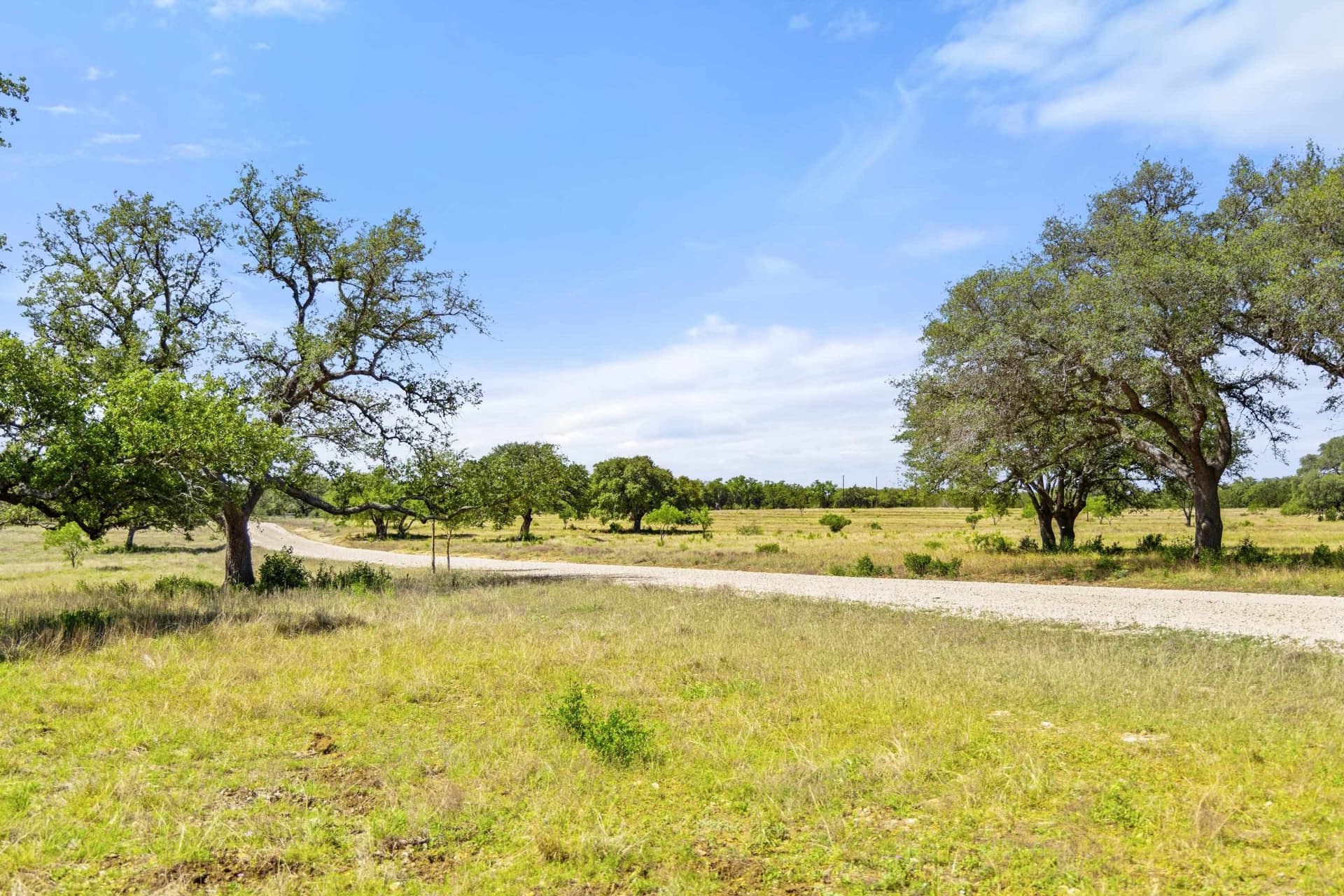 69 acres in Blanco County gallery image 4