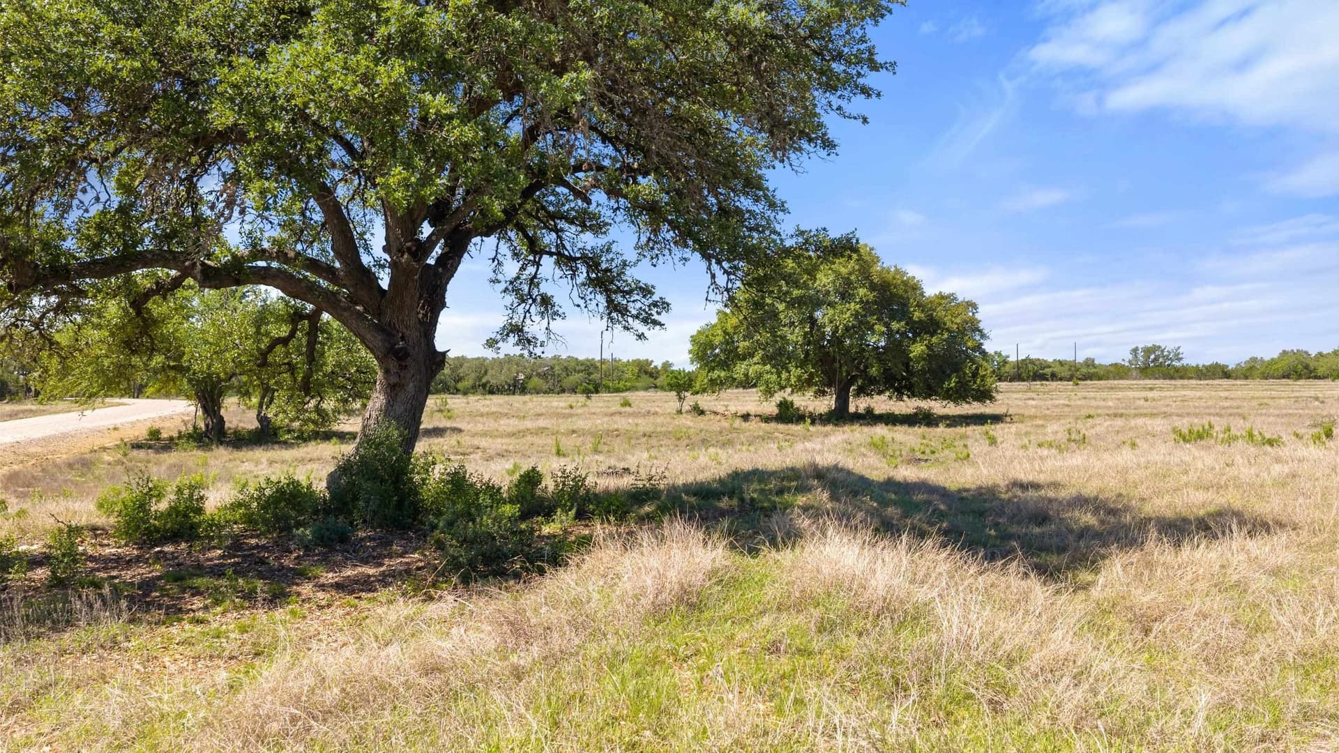 69 acres in Blanco County - photo 12
