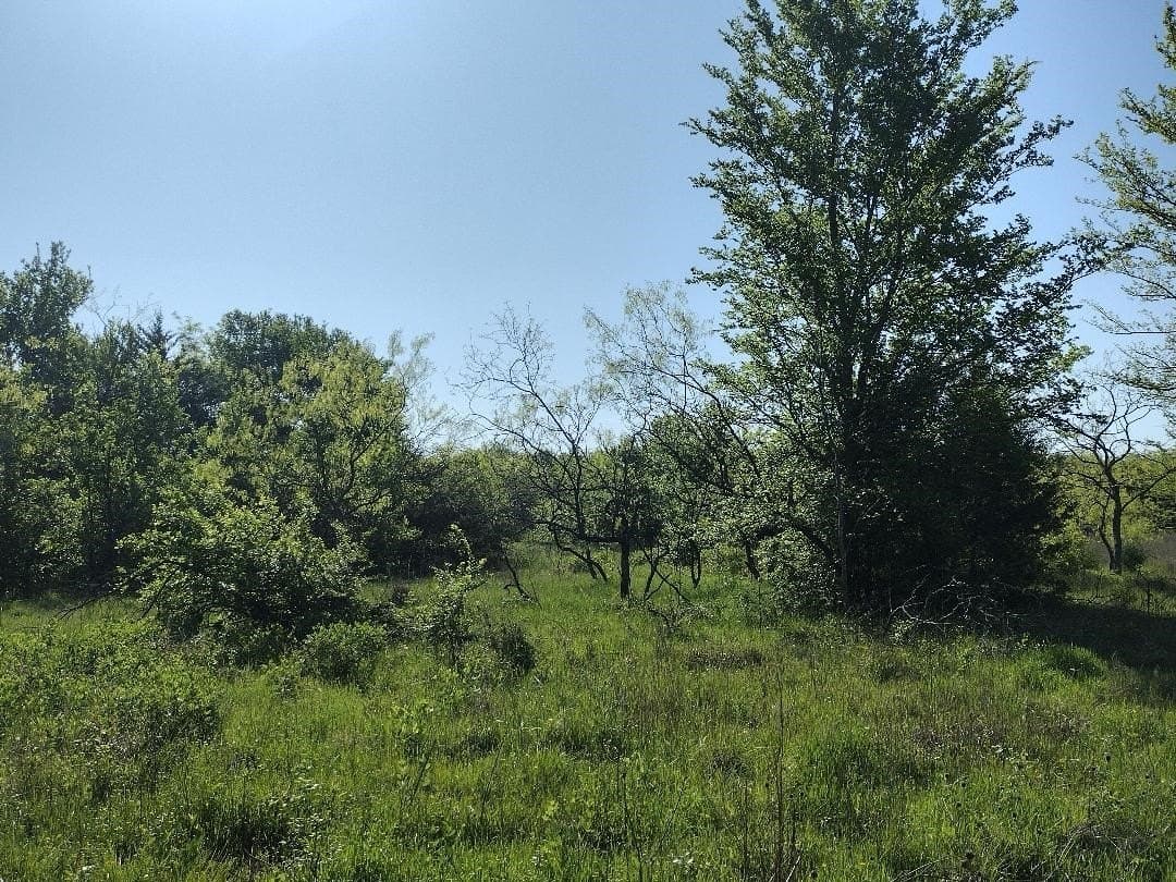 1.19 acres in Hunt County - photo 9