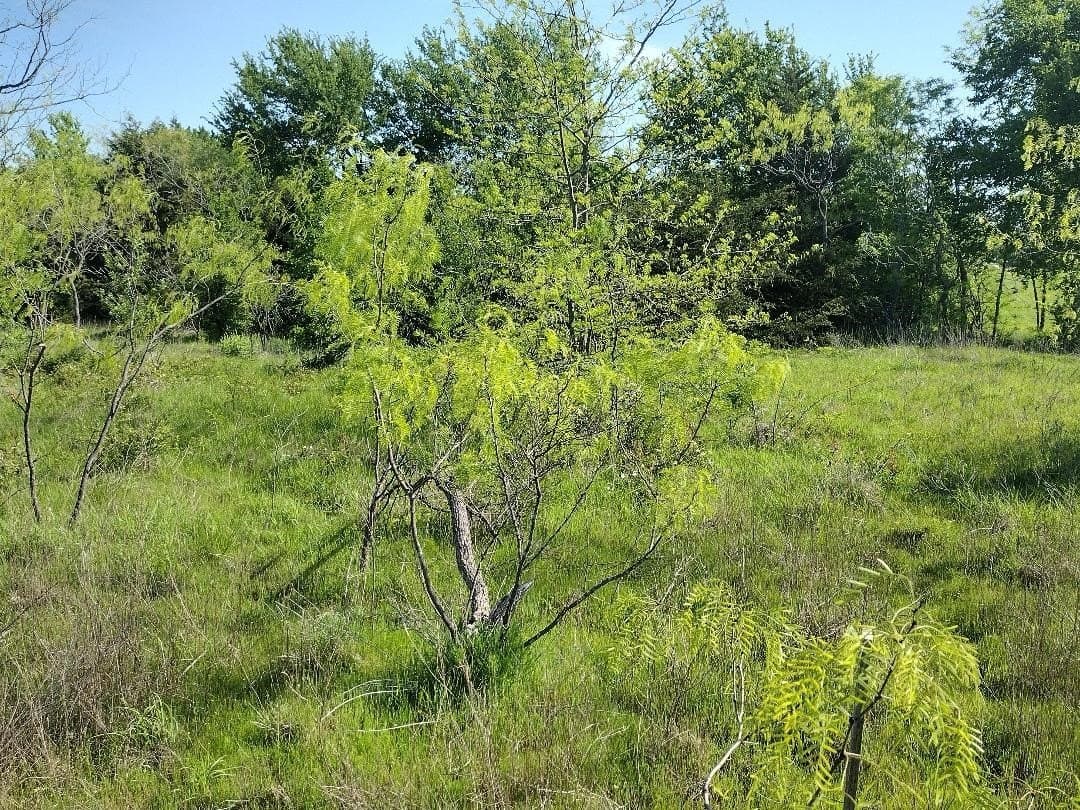 1.19 acres in Hunt County - photo 4