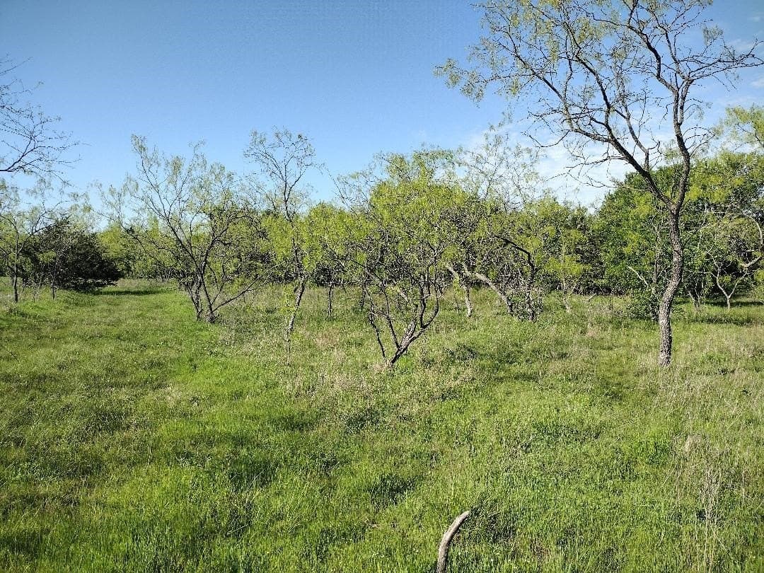 1.19 acres in Hunt County - photo 3