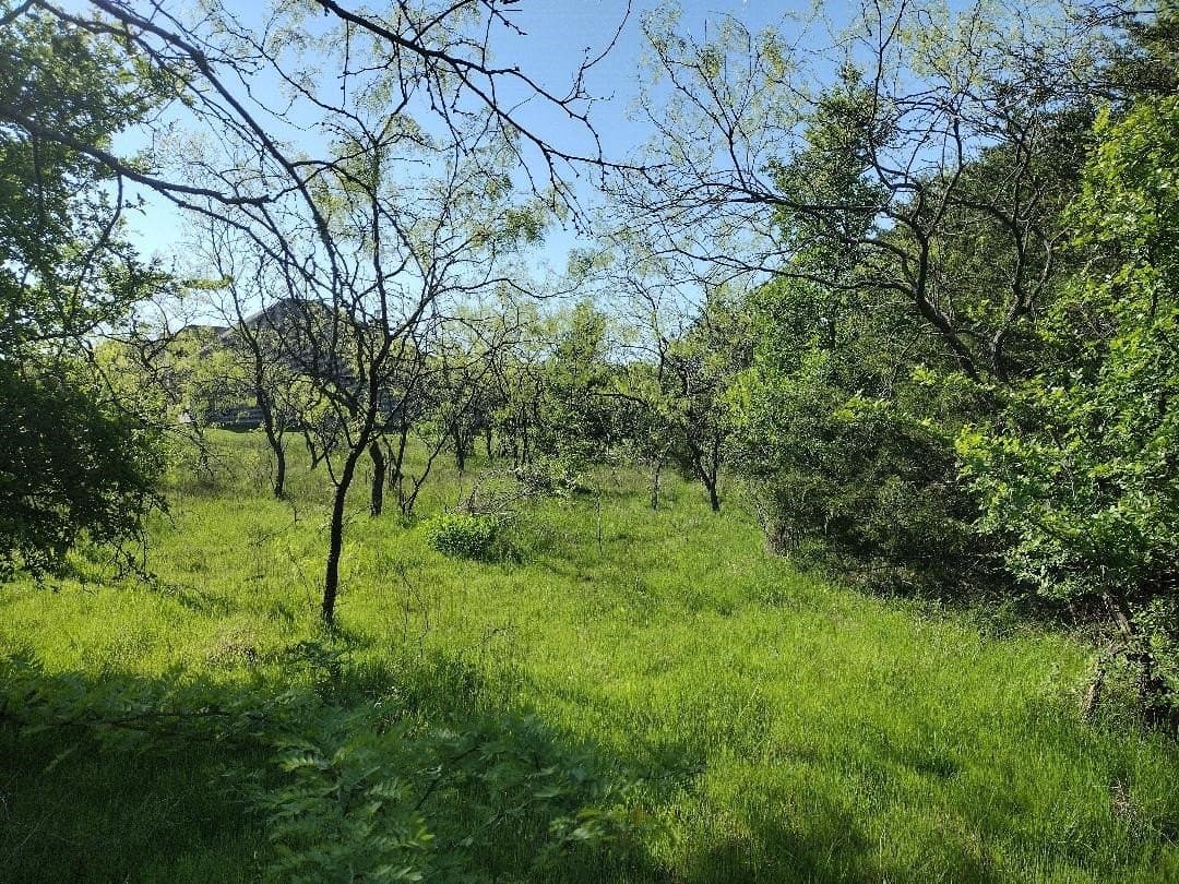 1.19 acres in Hunt County - photo 5