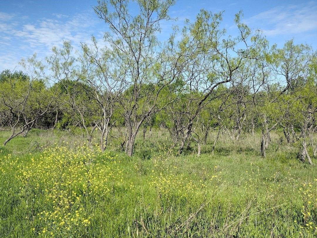 1.19 acres in Hunt County - photo 15