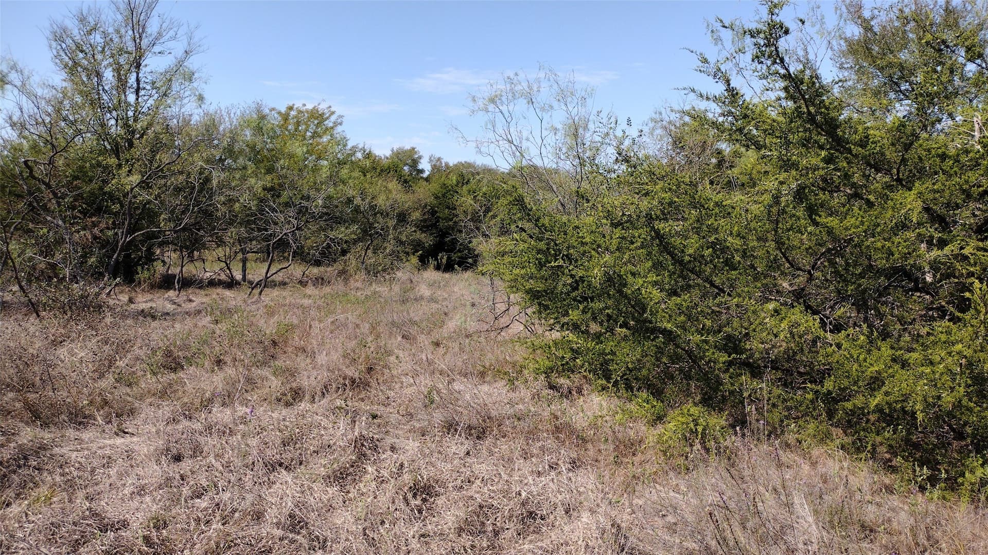 1.19 acres in Hunt County - photo 8