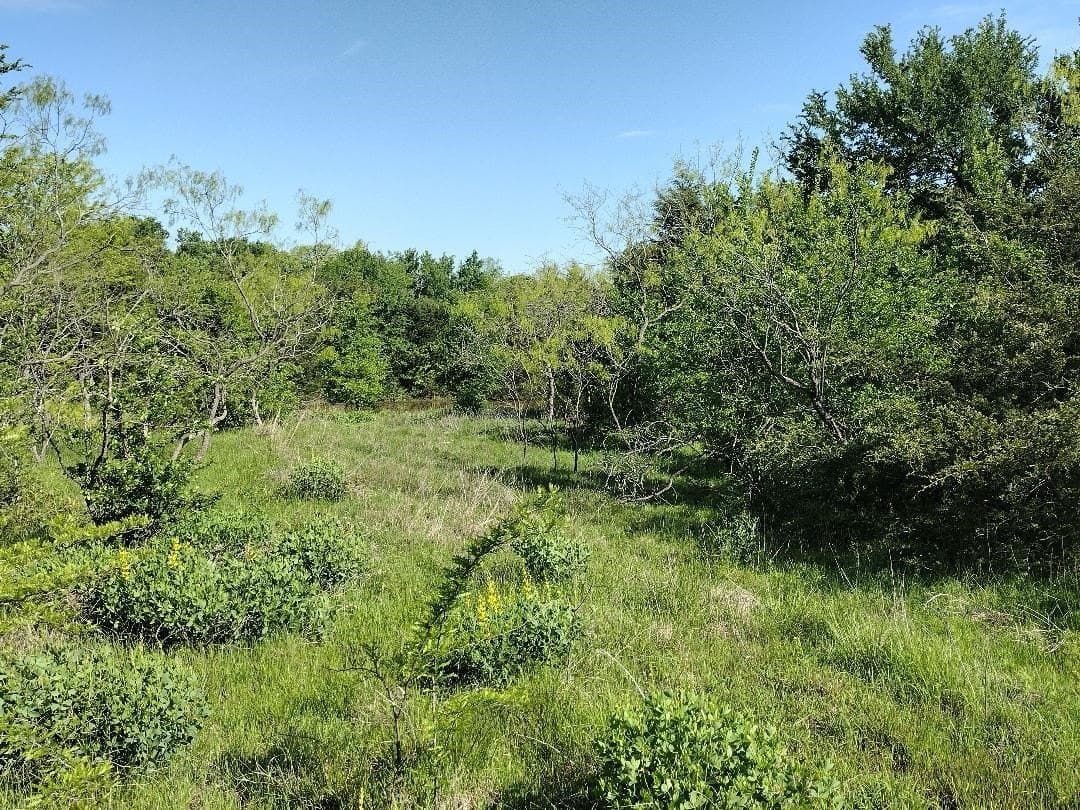 1.19 acres in Hunt County - photo 10