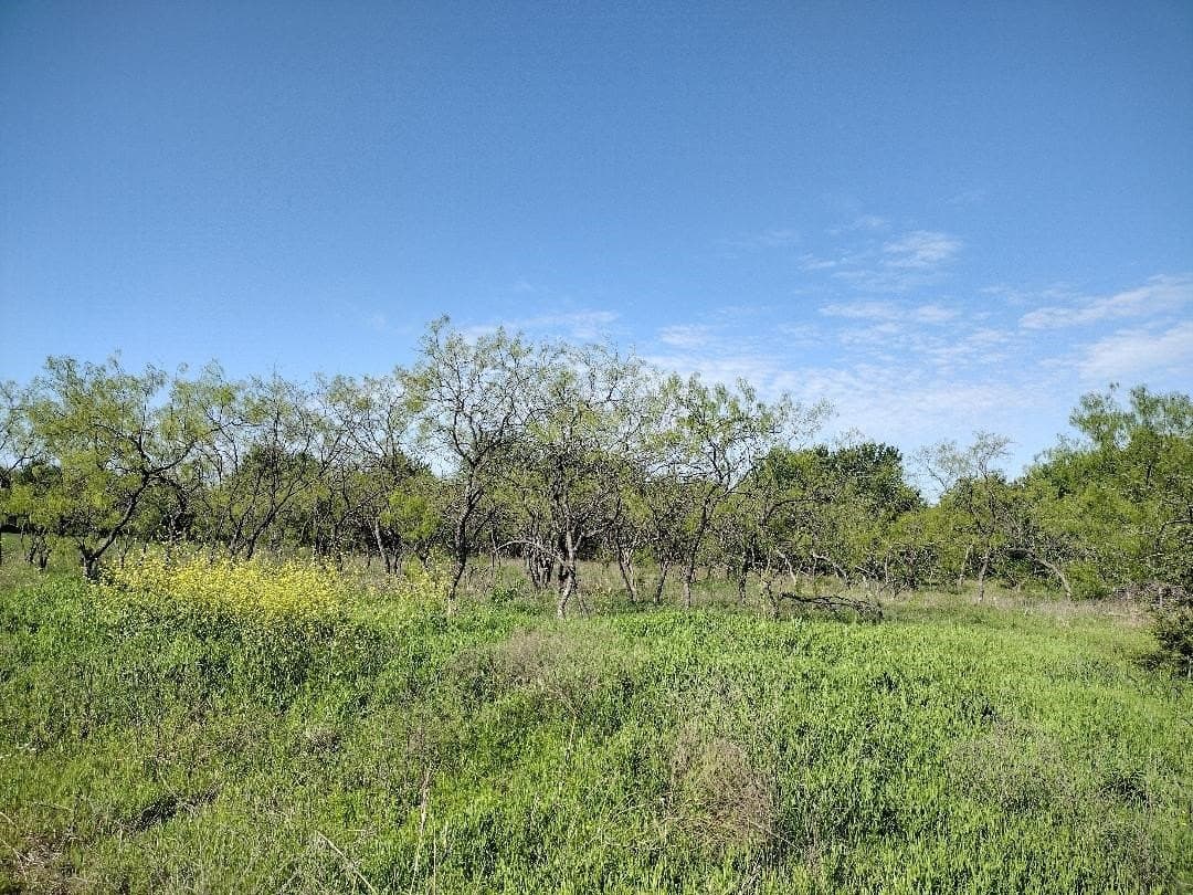1.19 acres in Hunt County - photo 2