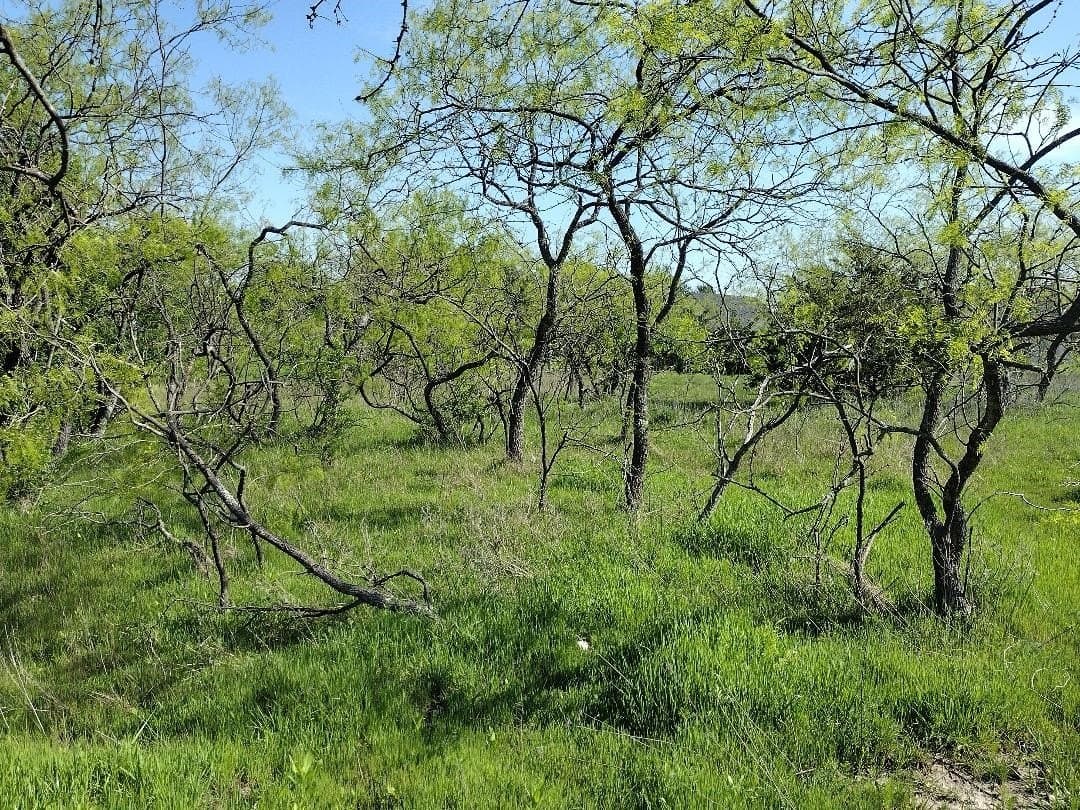 1.19 acres in Hunt County - photo 14