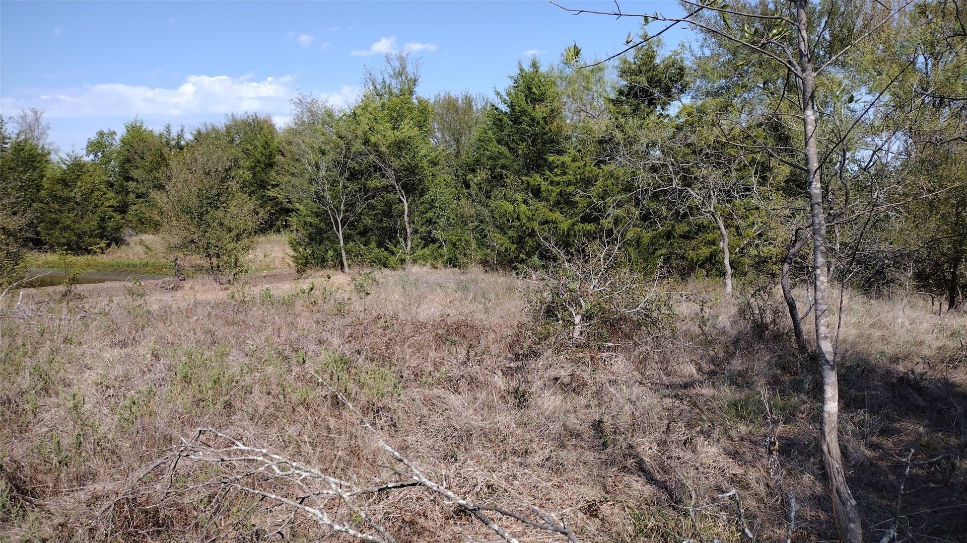 1.19 acres in Hunt County - photo 11