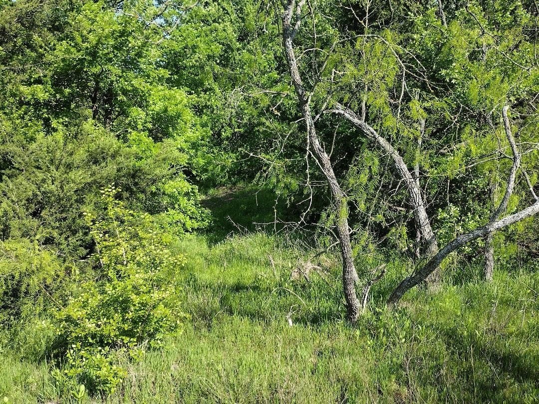 1.19 acres in Hunt County - photo 13