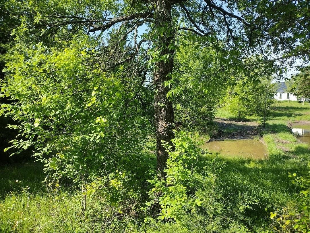 1.19 acres in Hunt County - photo 6
