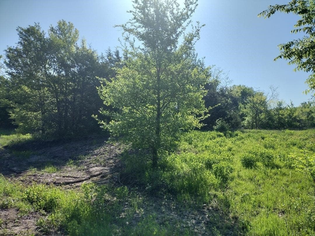 1.19 acres in Hunt County - photo 7