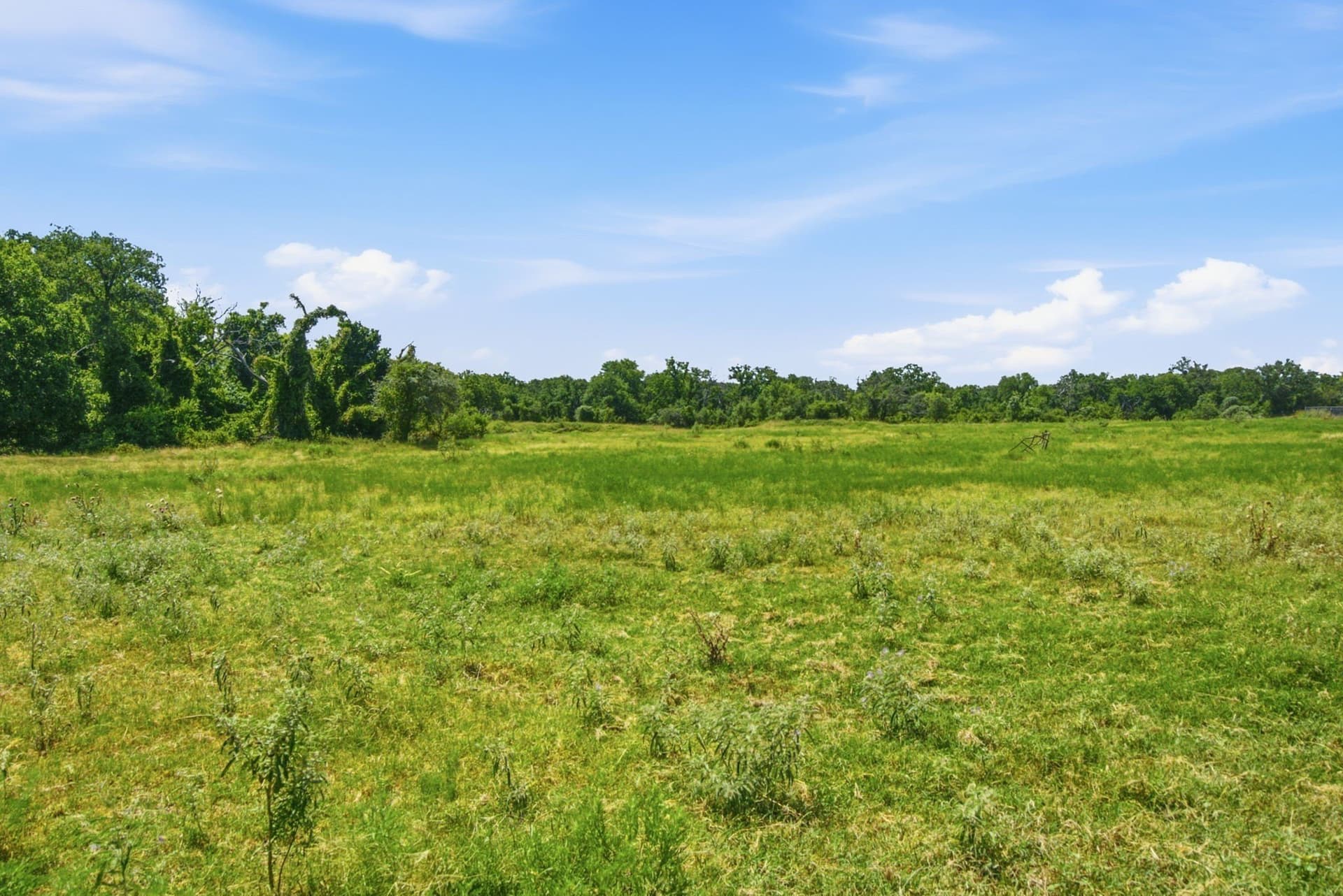 22.92 acres in Erath County - photo 34