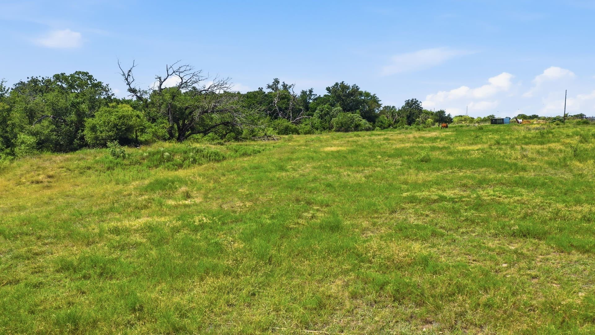 22.92 acres in Erath County - photo 37