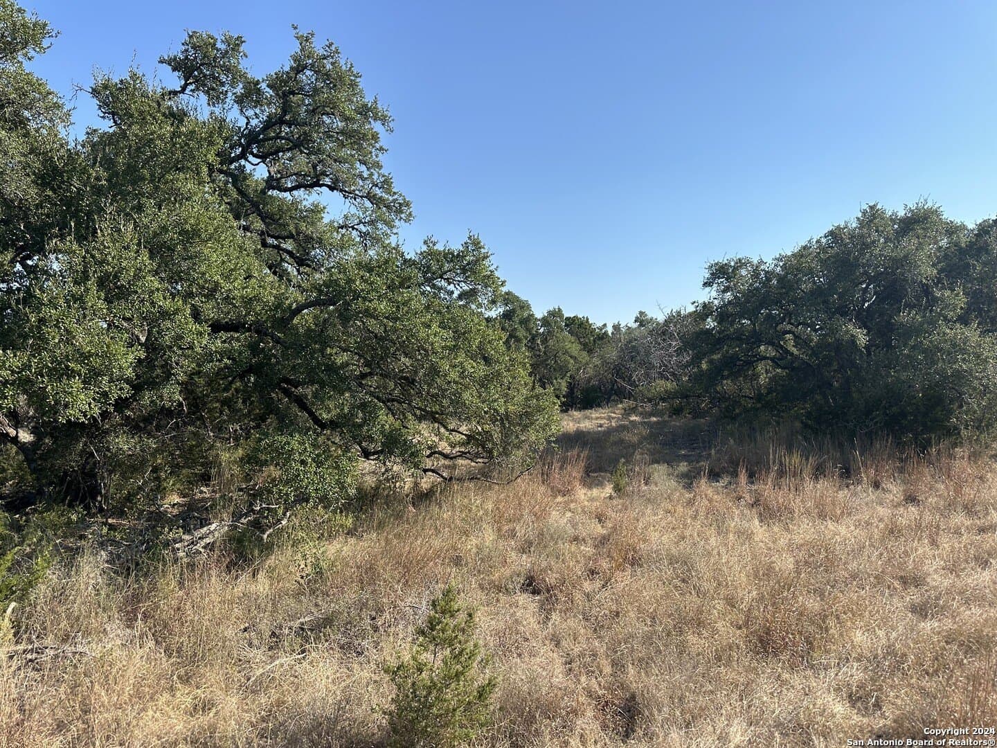 5.94 acres in Comal County
