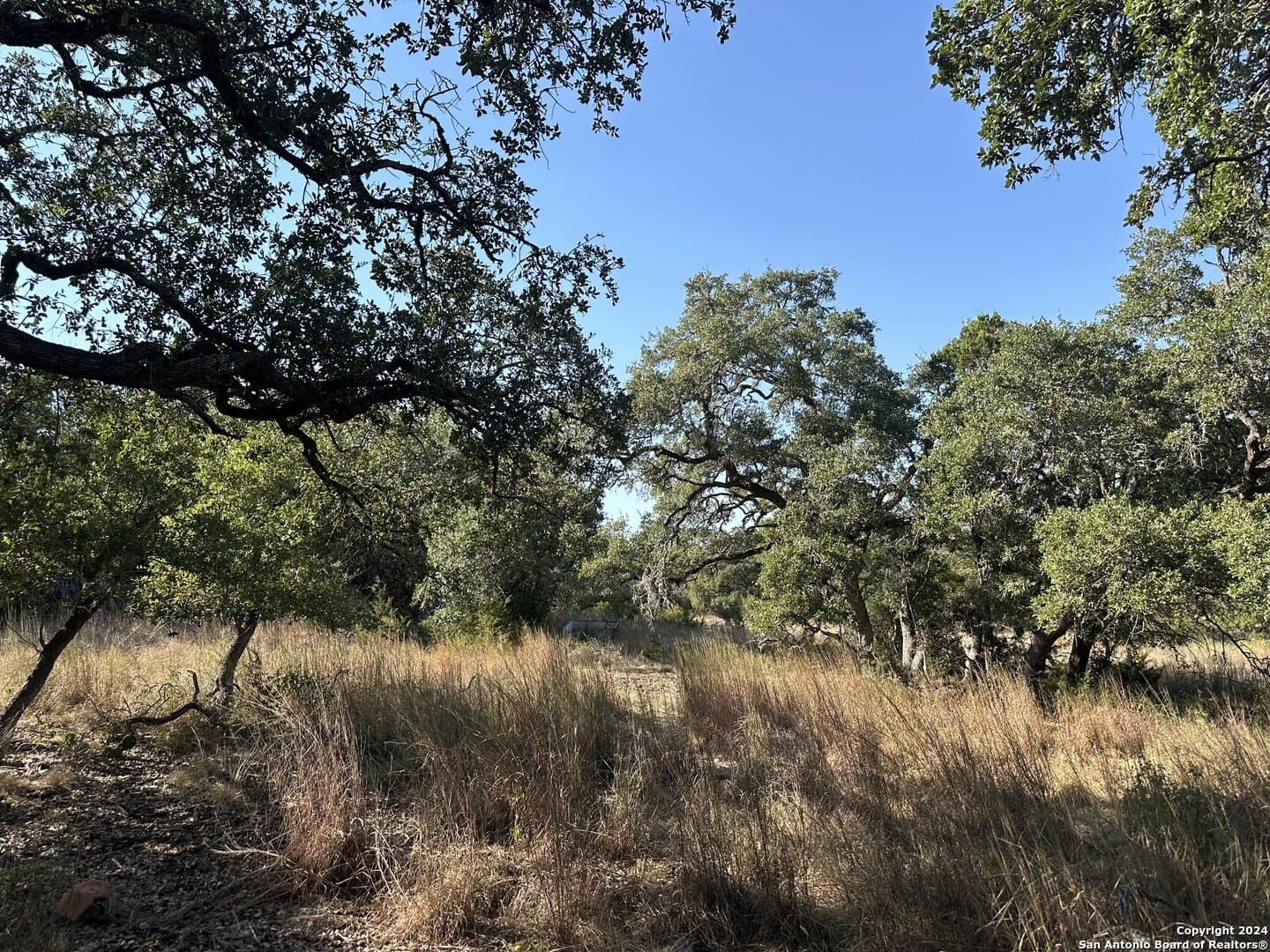 5.94 acres in Comal County - photo 6