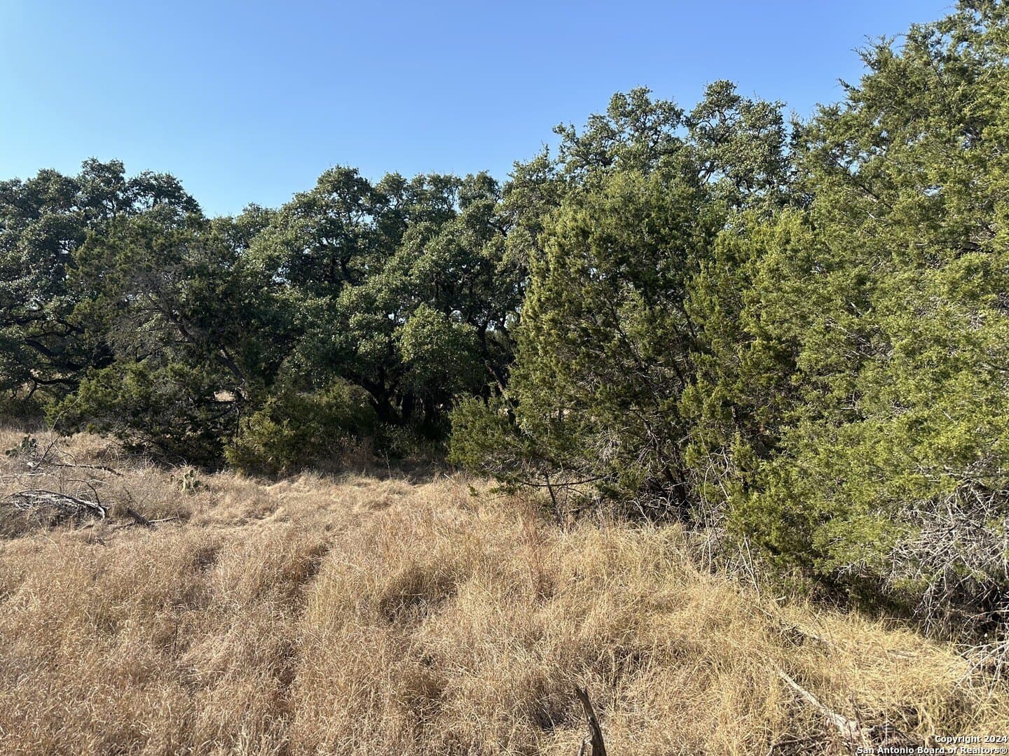 5.94 acres in Comal County gallery image 2