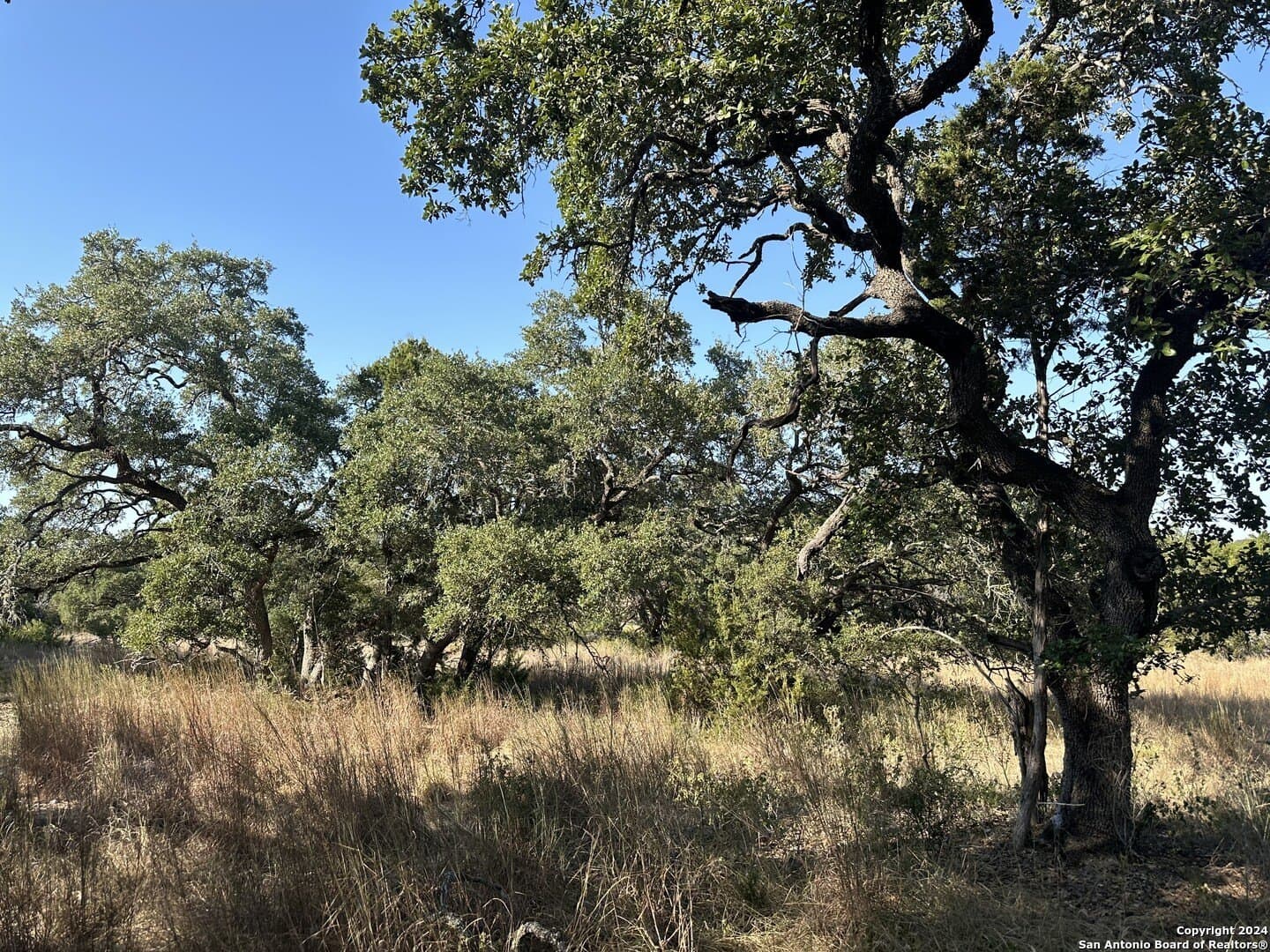 5.94 acres in Comal County - photo 7