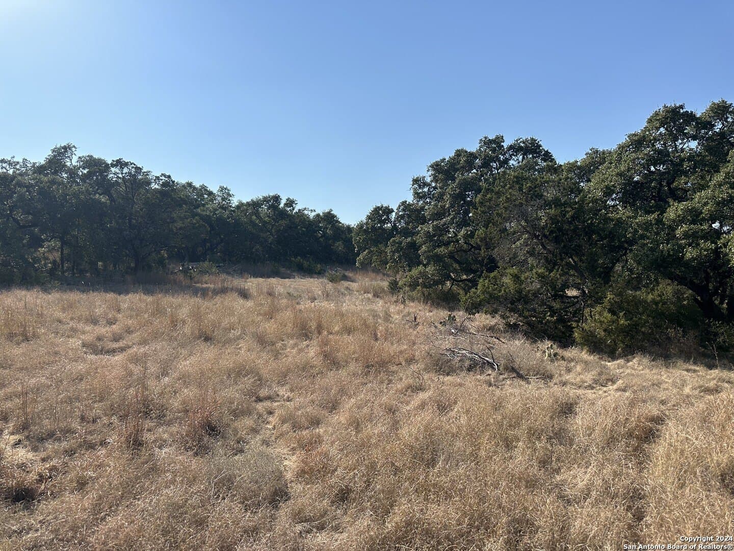 5.94 acres in Comal County gallery image 3