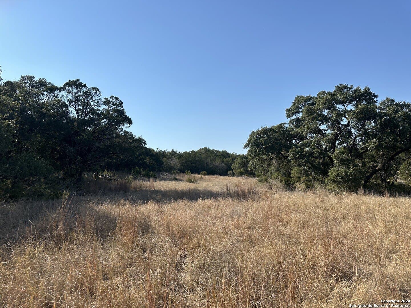 5.94 acres in Comal County gallery image 4