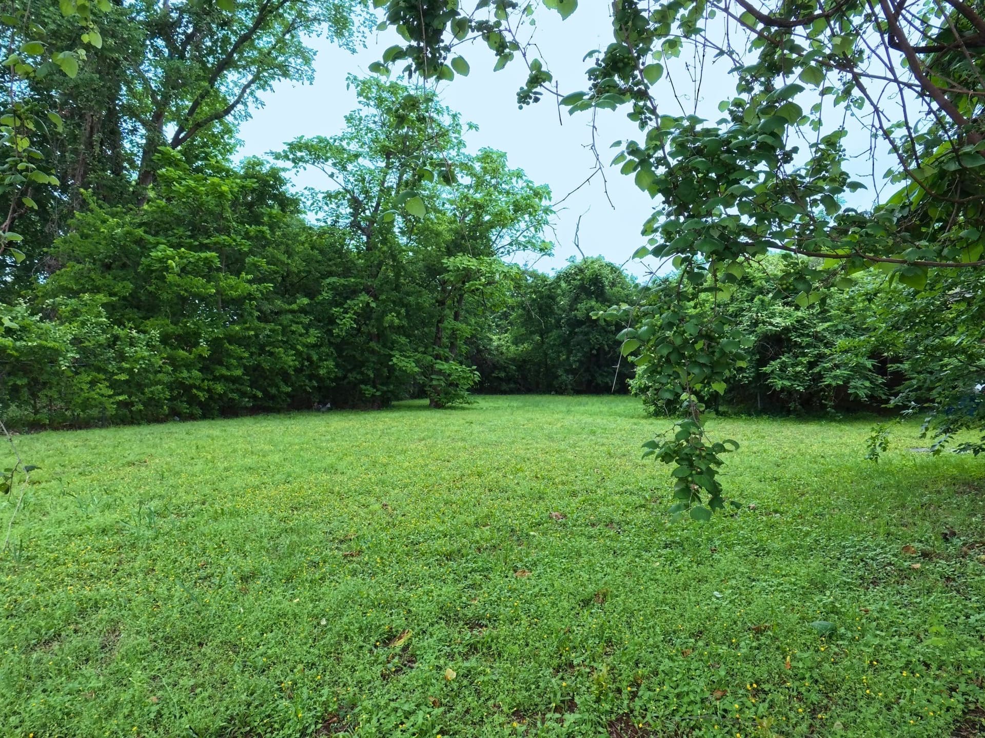 0.14 acres in McLennan County gallery image 4