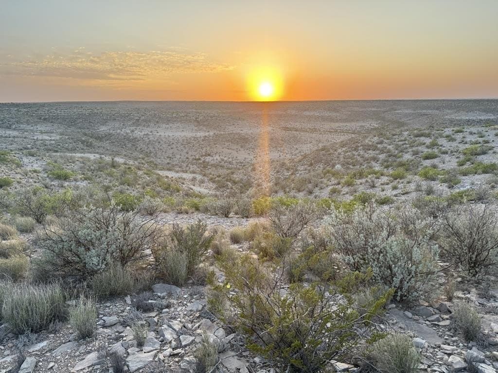 202 acres in Terrell County