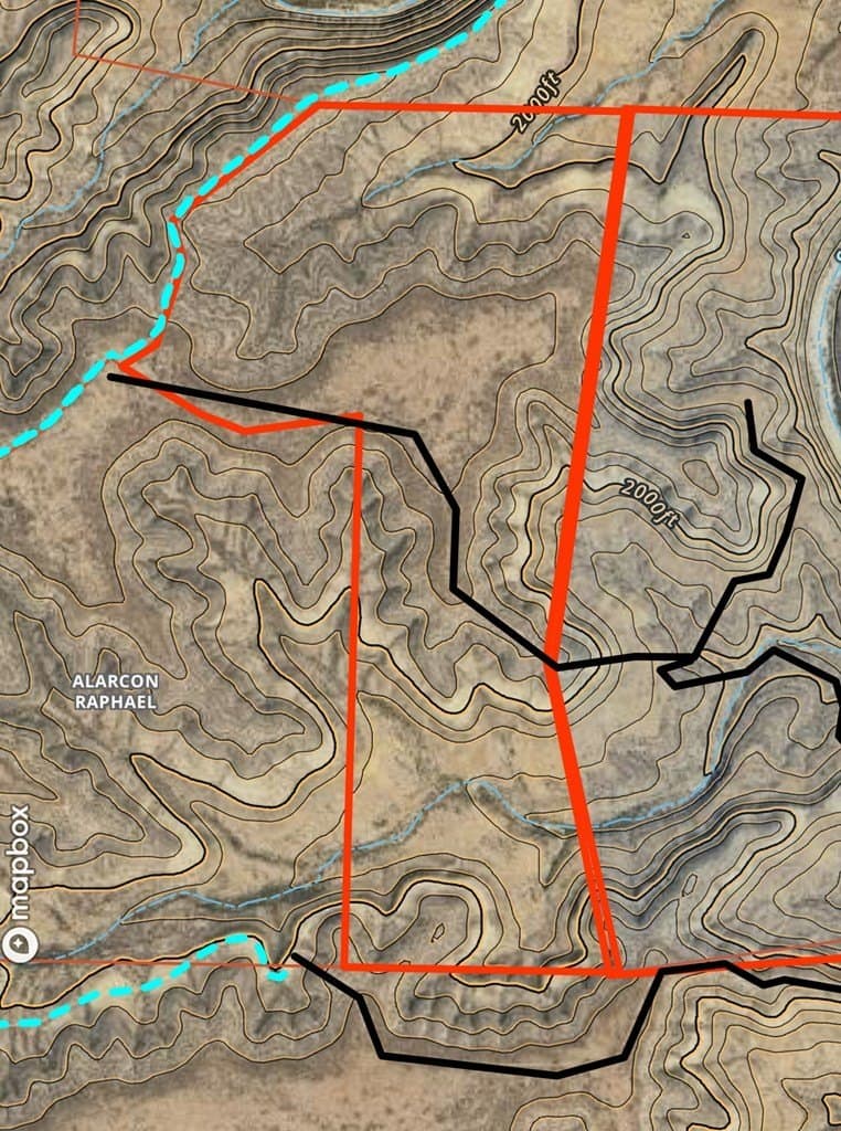 202 acres in Terrell County gallery image 3
