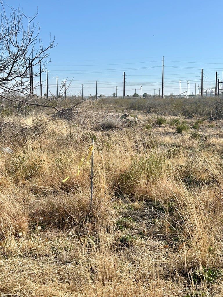 10.74 acres in Pecos County gallery image 3