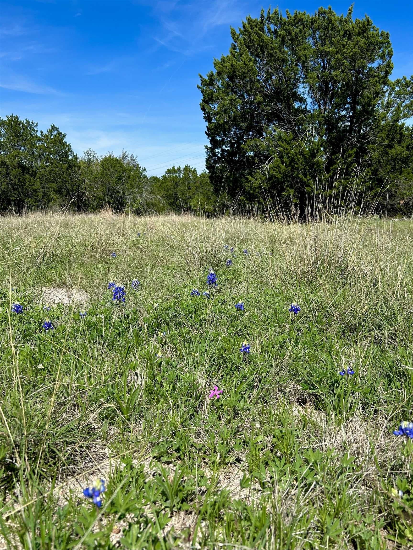 0.13 acres in Burnet County featured view