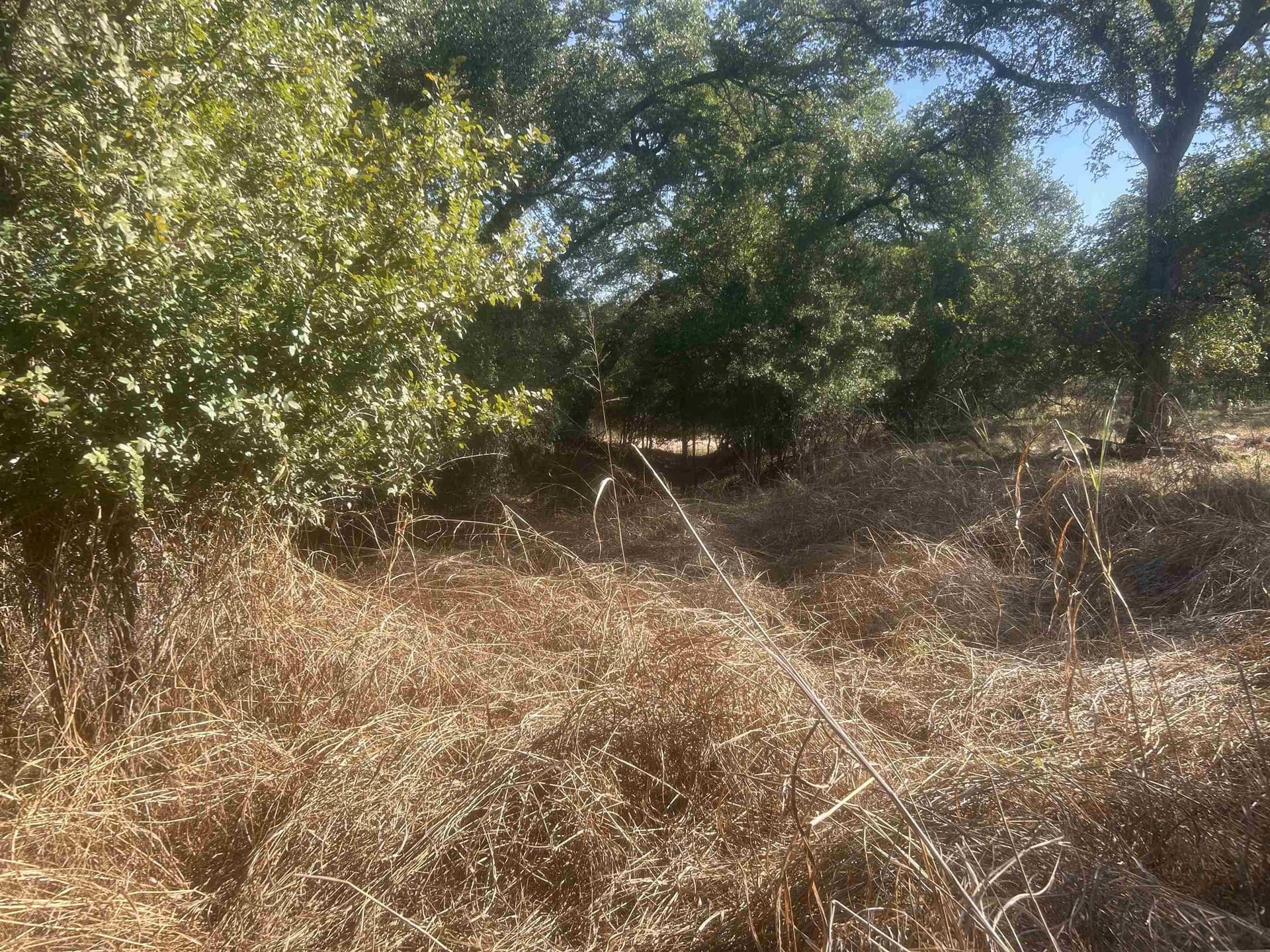 10 acres in Llano County - photo 38