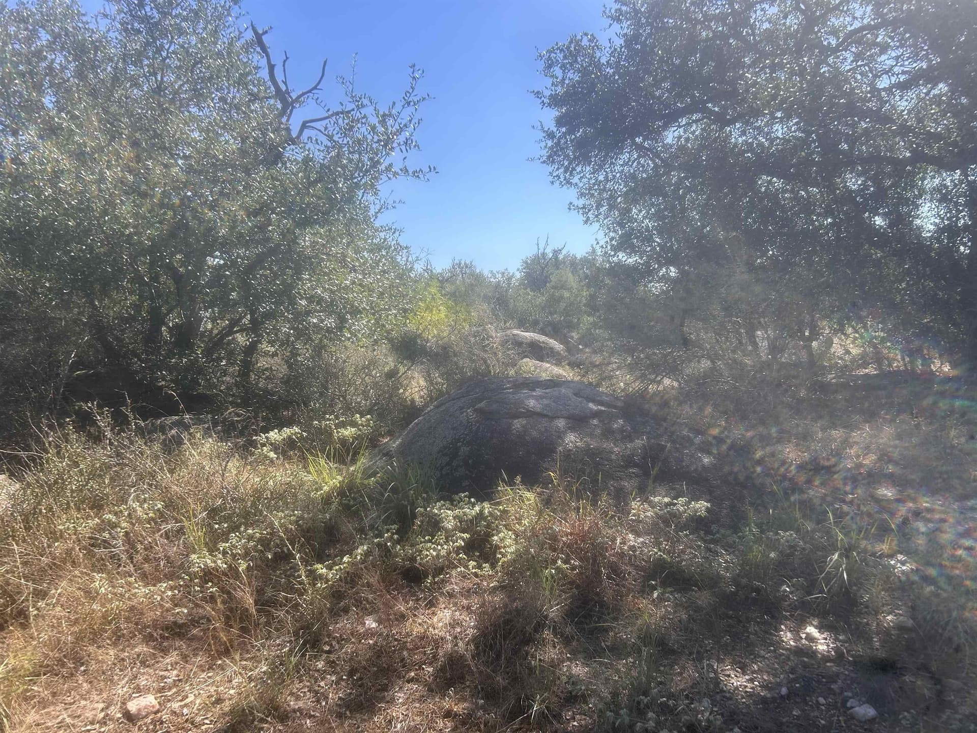10 acres in Llano County - photo 44