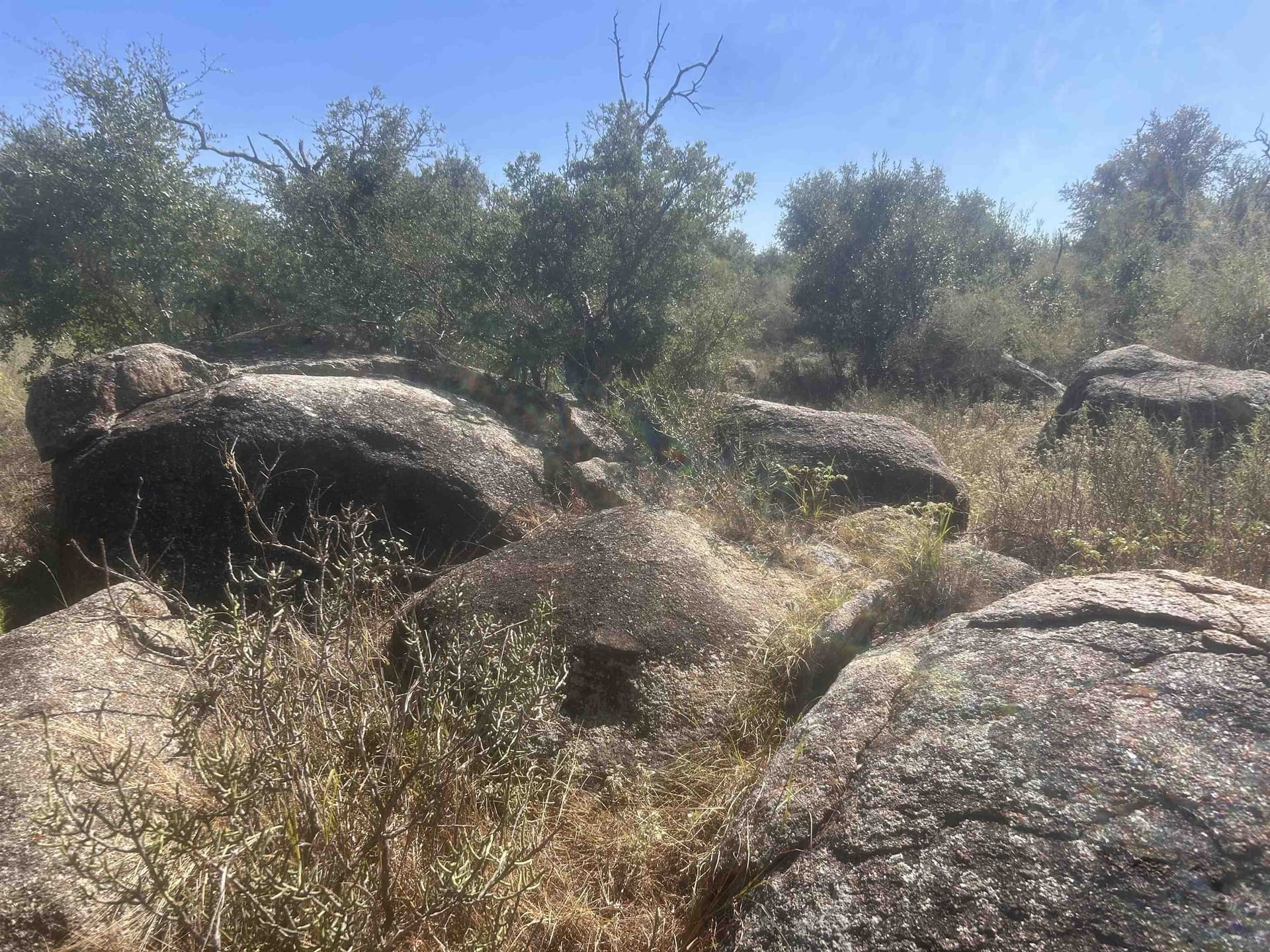 10 acres in Llano County - photo 43