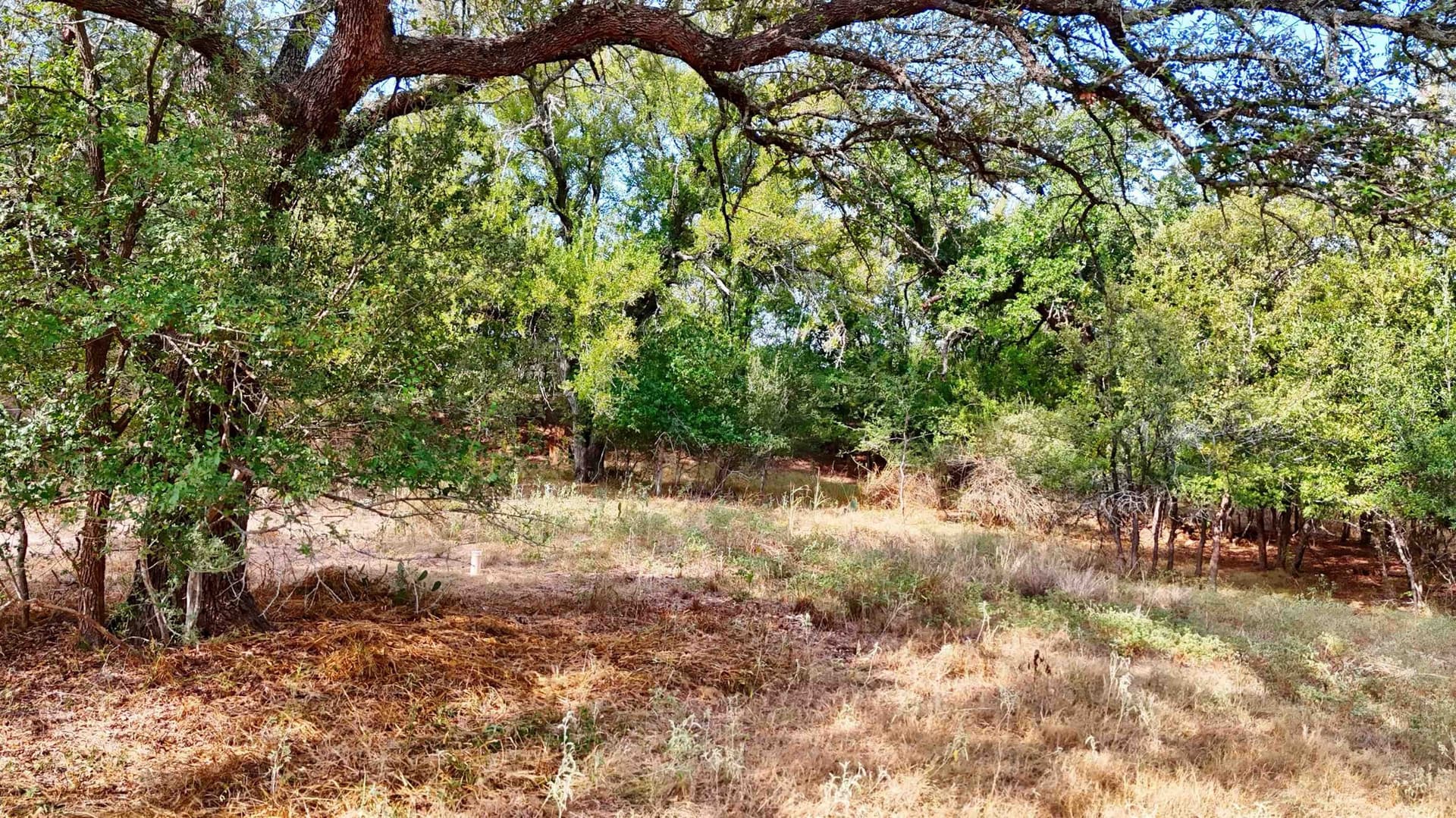 10 acres in Llano County - photo 28
