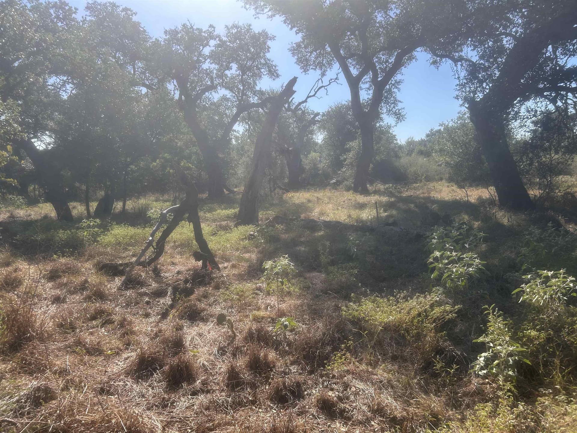 10 acres in Llano County - photo 33