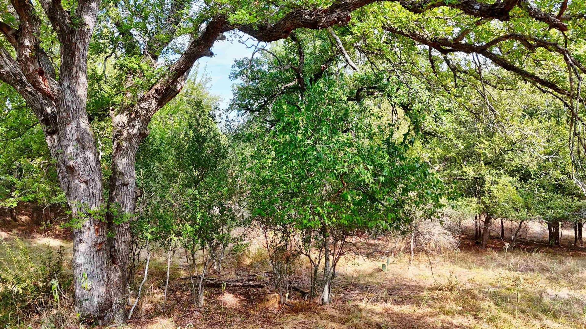10 acres in Llano County - photo 30