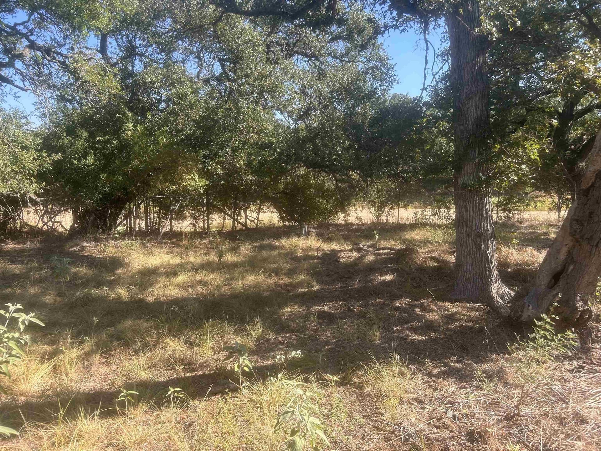 10 acres in Llano County - photo 34