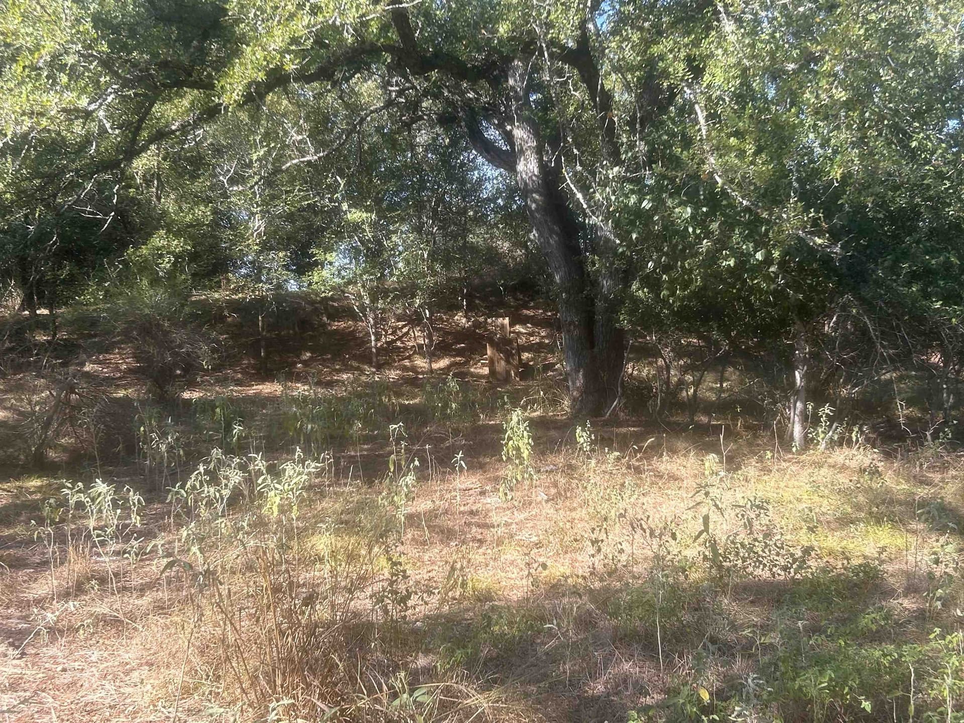10 acres in Llano County - photo 35