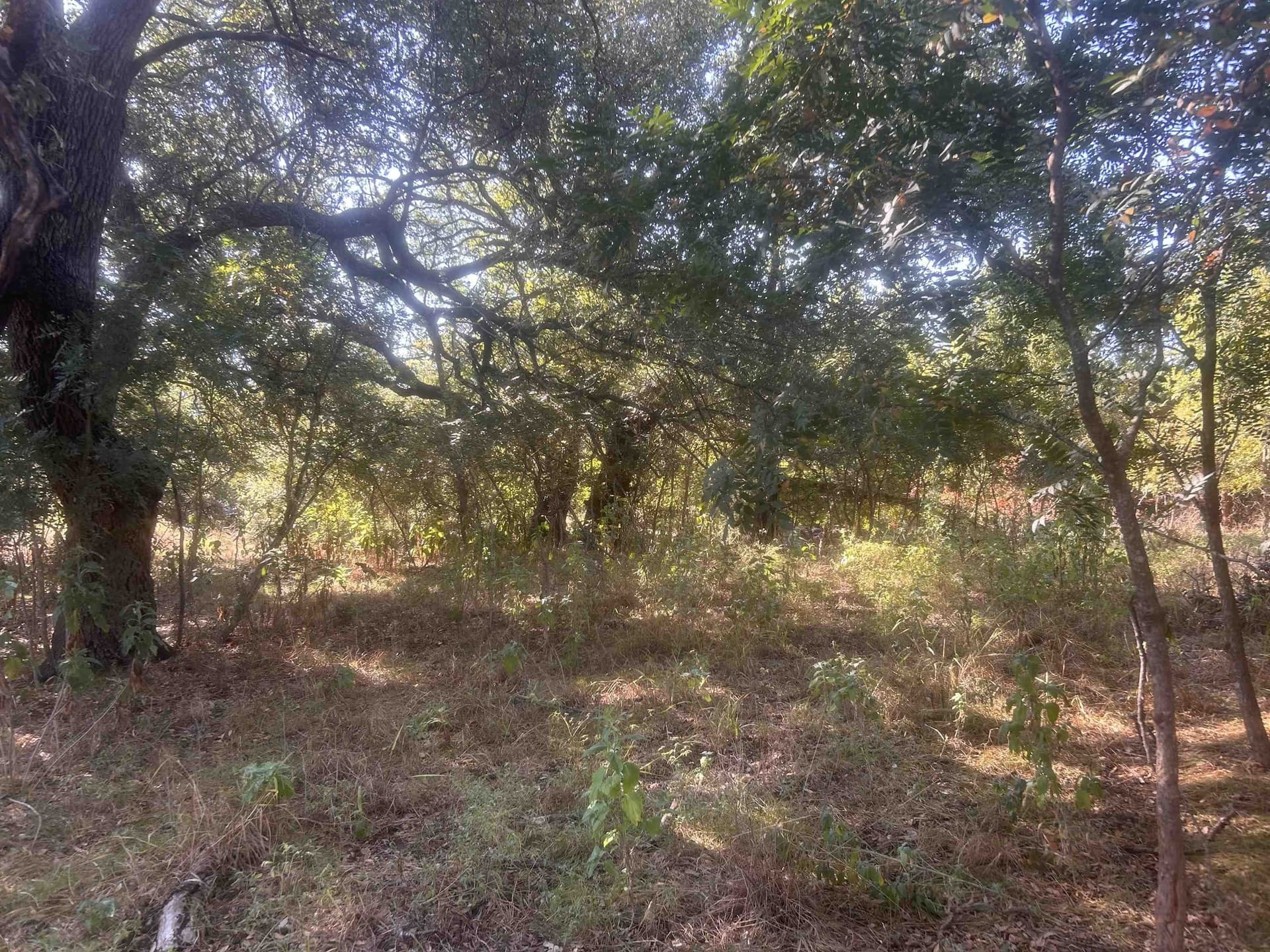 10 acres in Llano County - photo 40