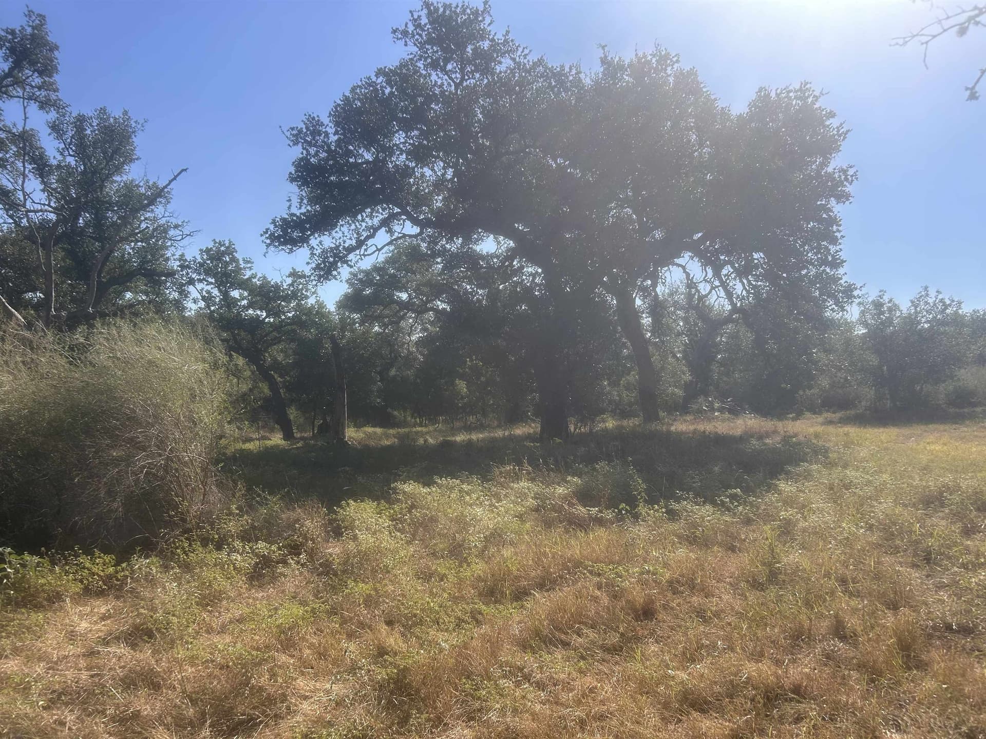 10 acres in Llano County - photo 37
