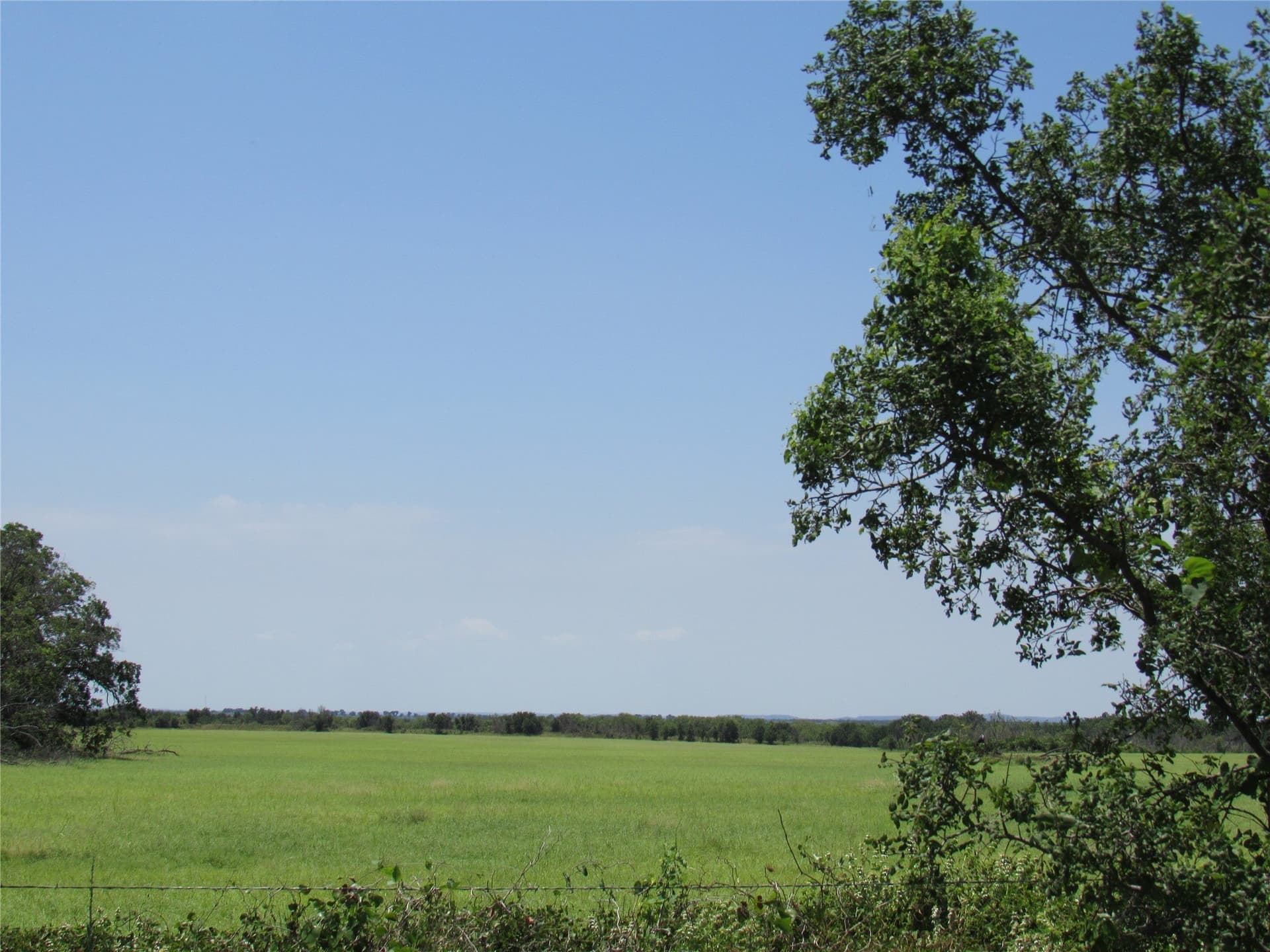 102.35 acres in Eastland County featured view