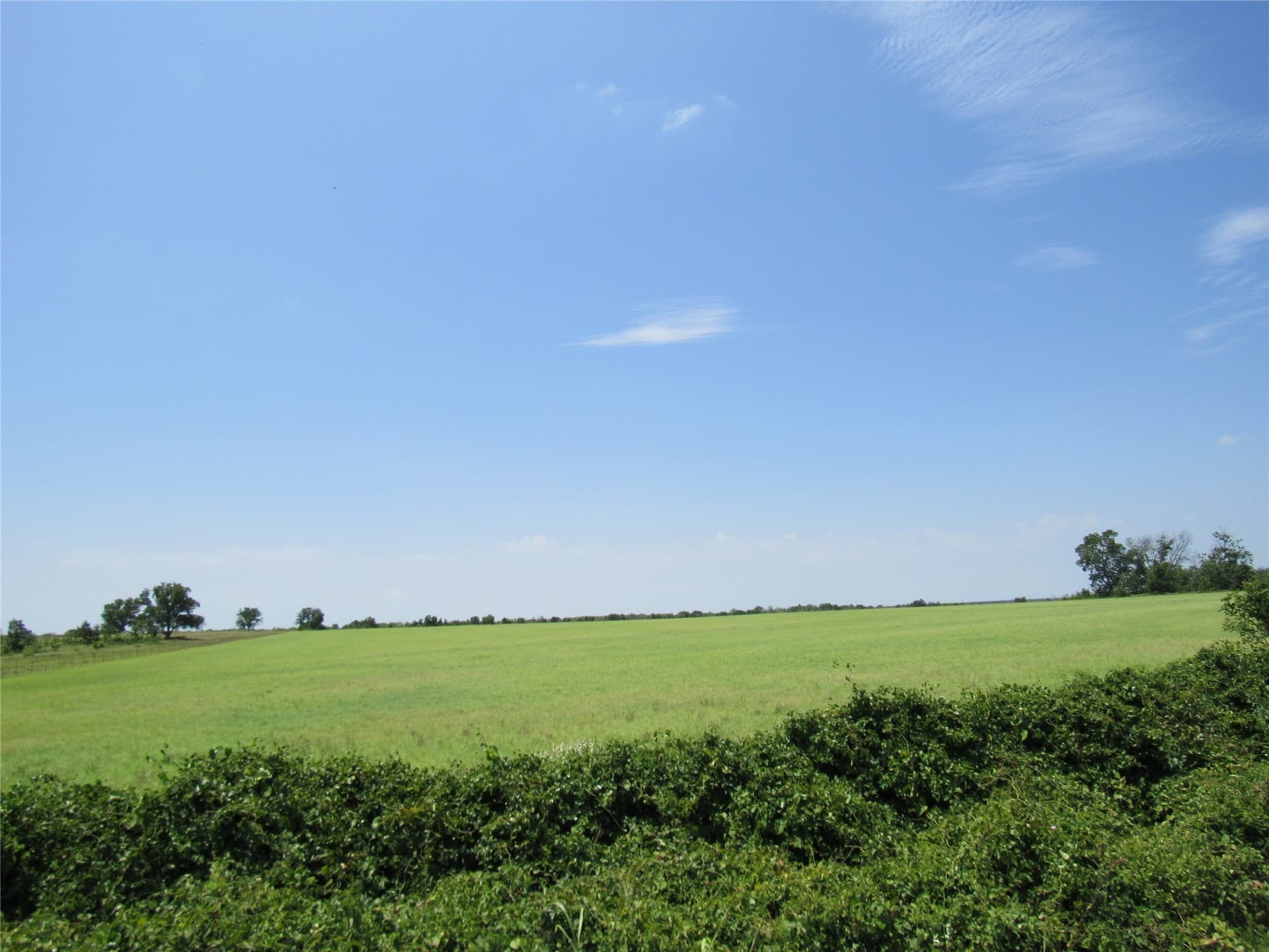 102.35 acres in Eastland County gallery image 2