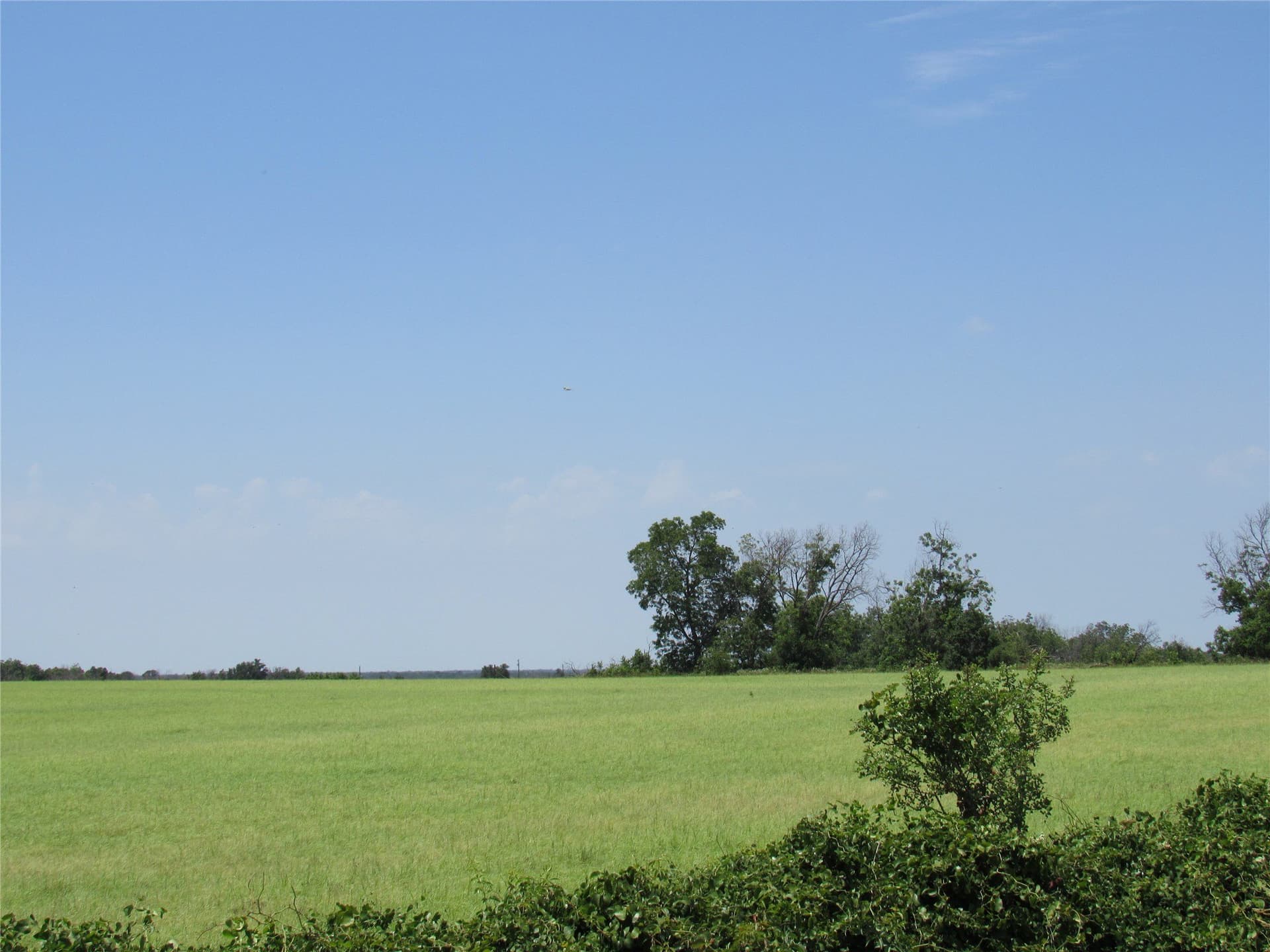102.35 acres in Eastland County gallery image 4