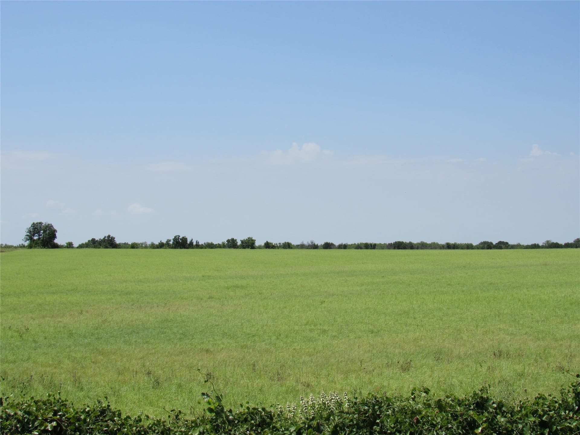102.35 acres in Eastland County gallery image 3