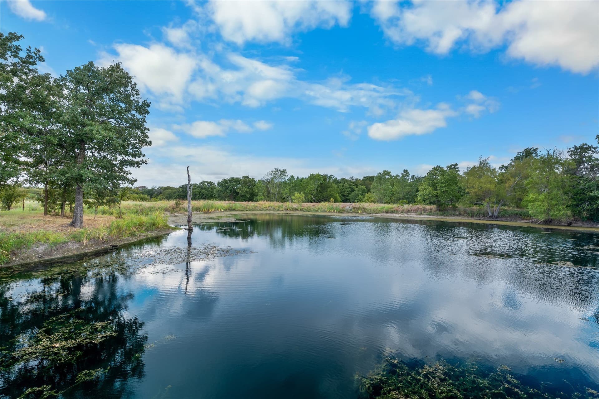 64 acres in Limestone County - photo 14